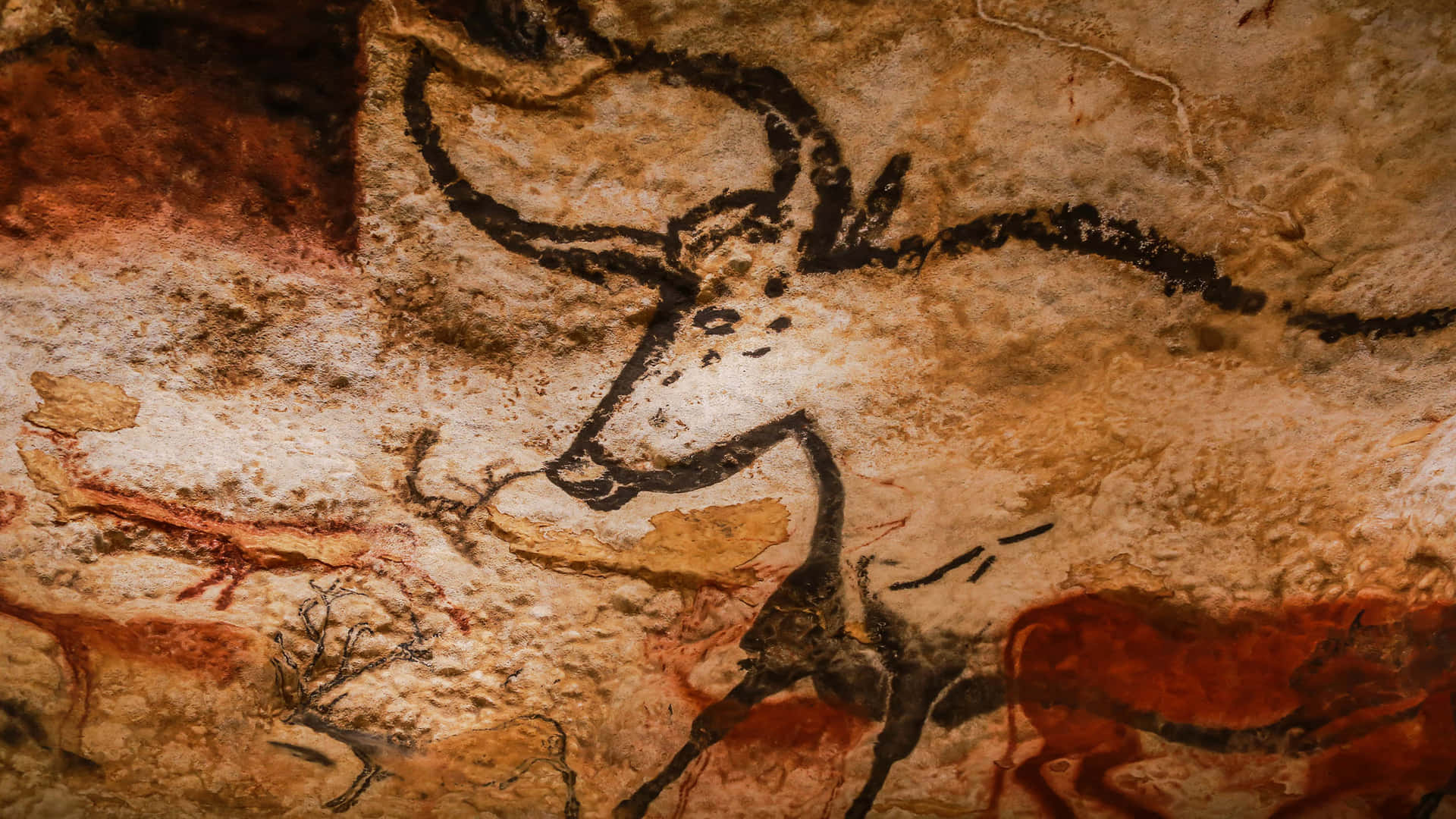 Lascaux Caves Background