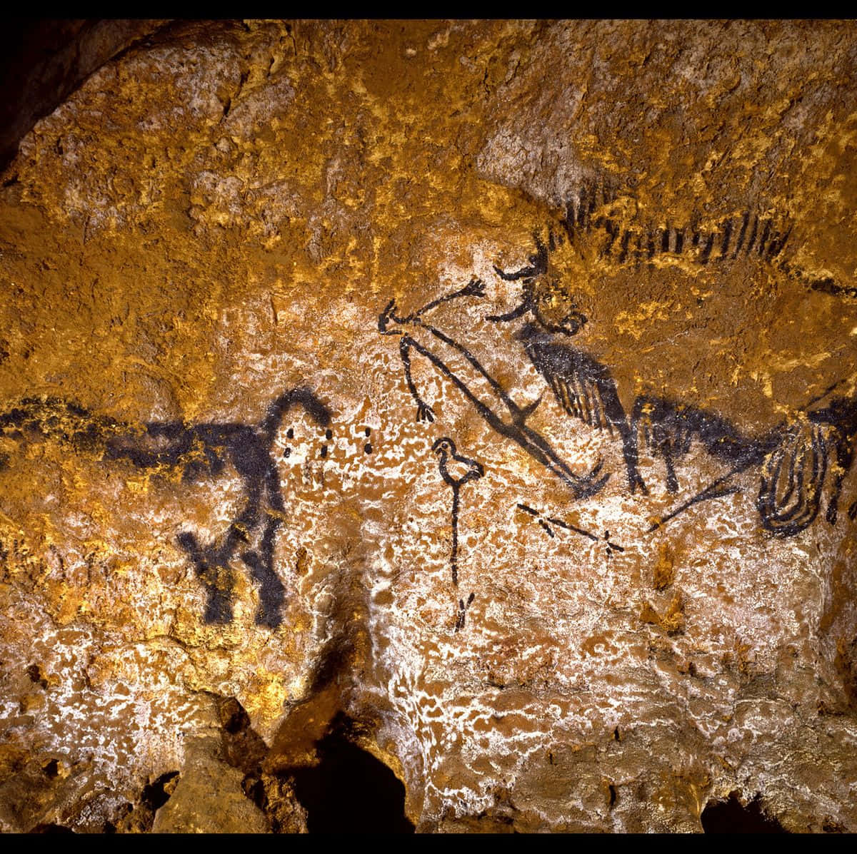 Lascaux Caves
