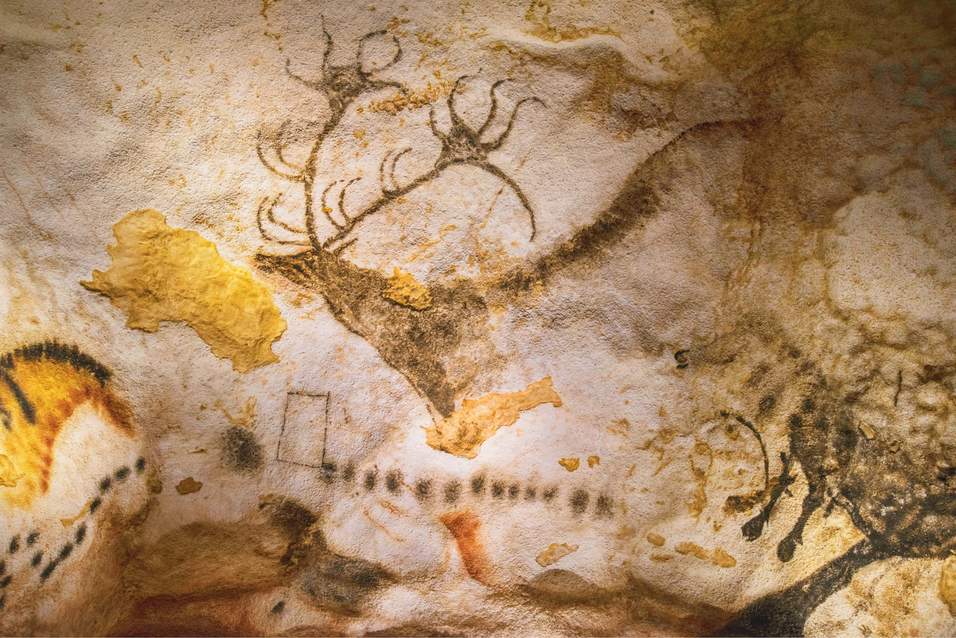 Lascaux Caves Background
