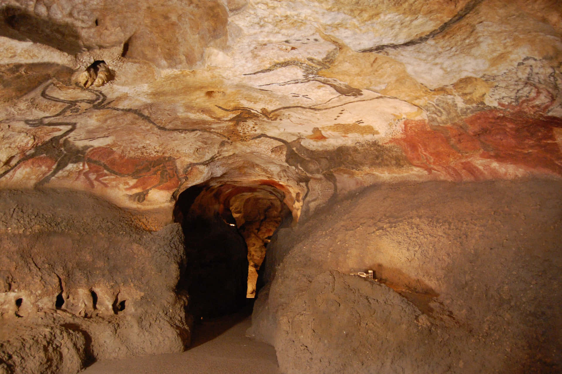 Lascaux Caves Background