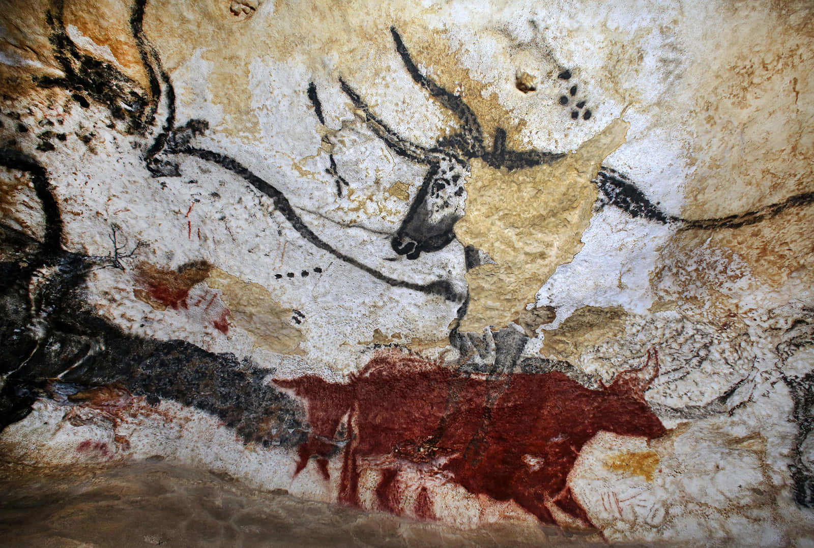 Lascaux Caves