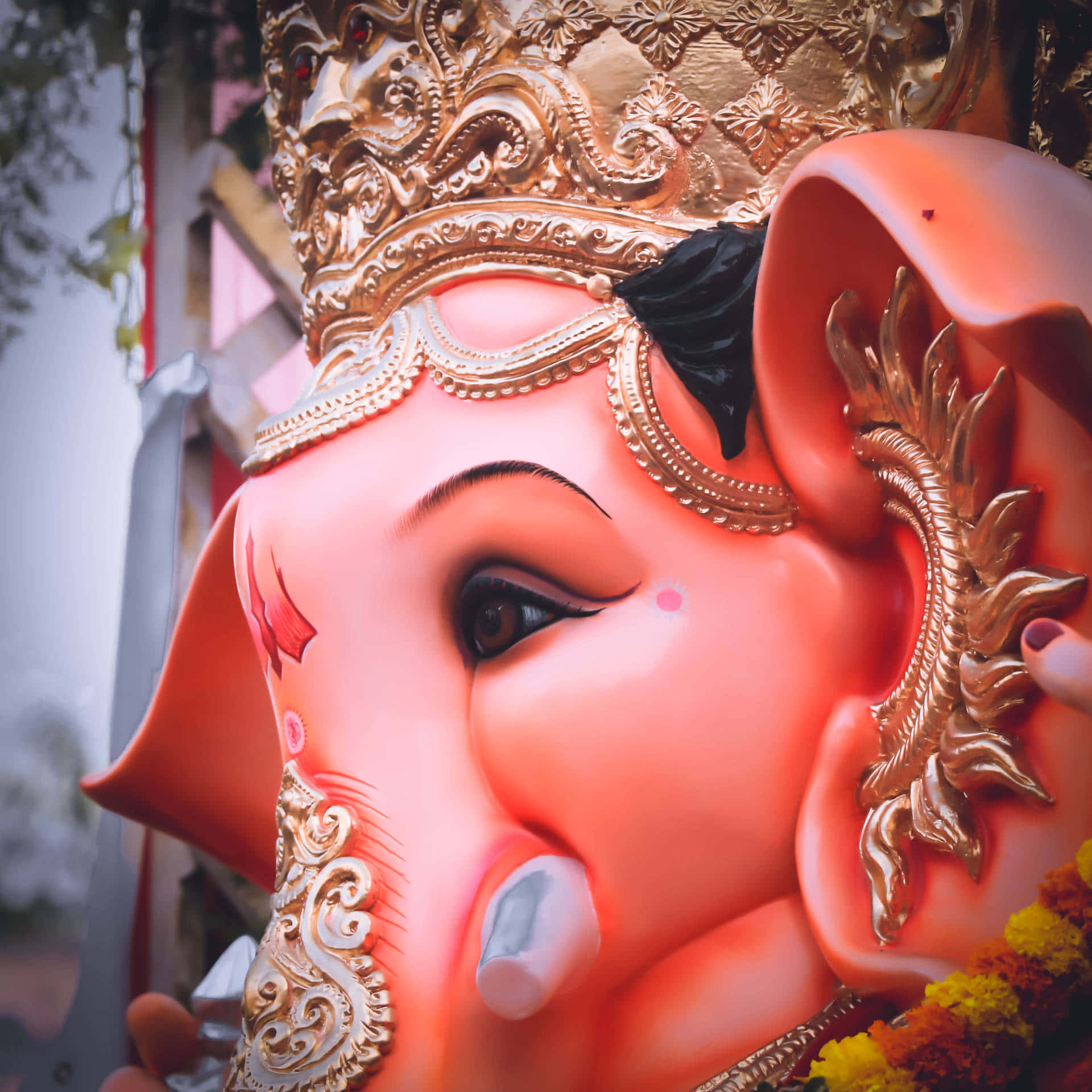Lateral Profile Of Ganesh