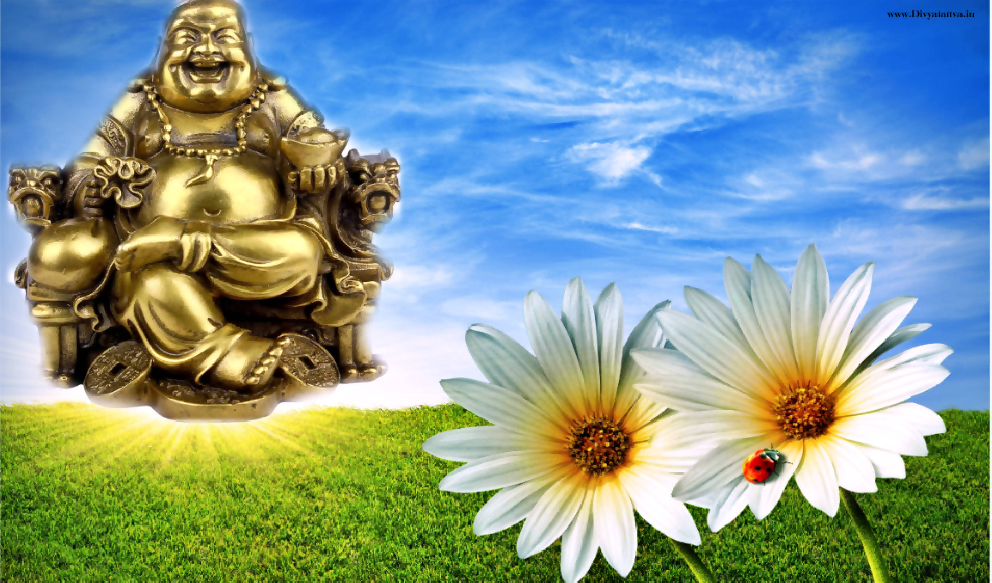 Laughing Buddha And Daisies Background