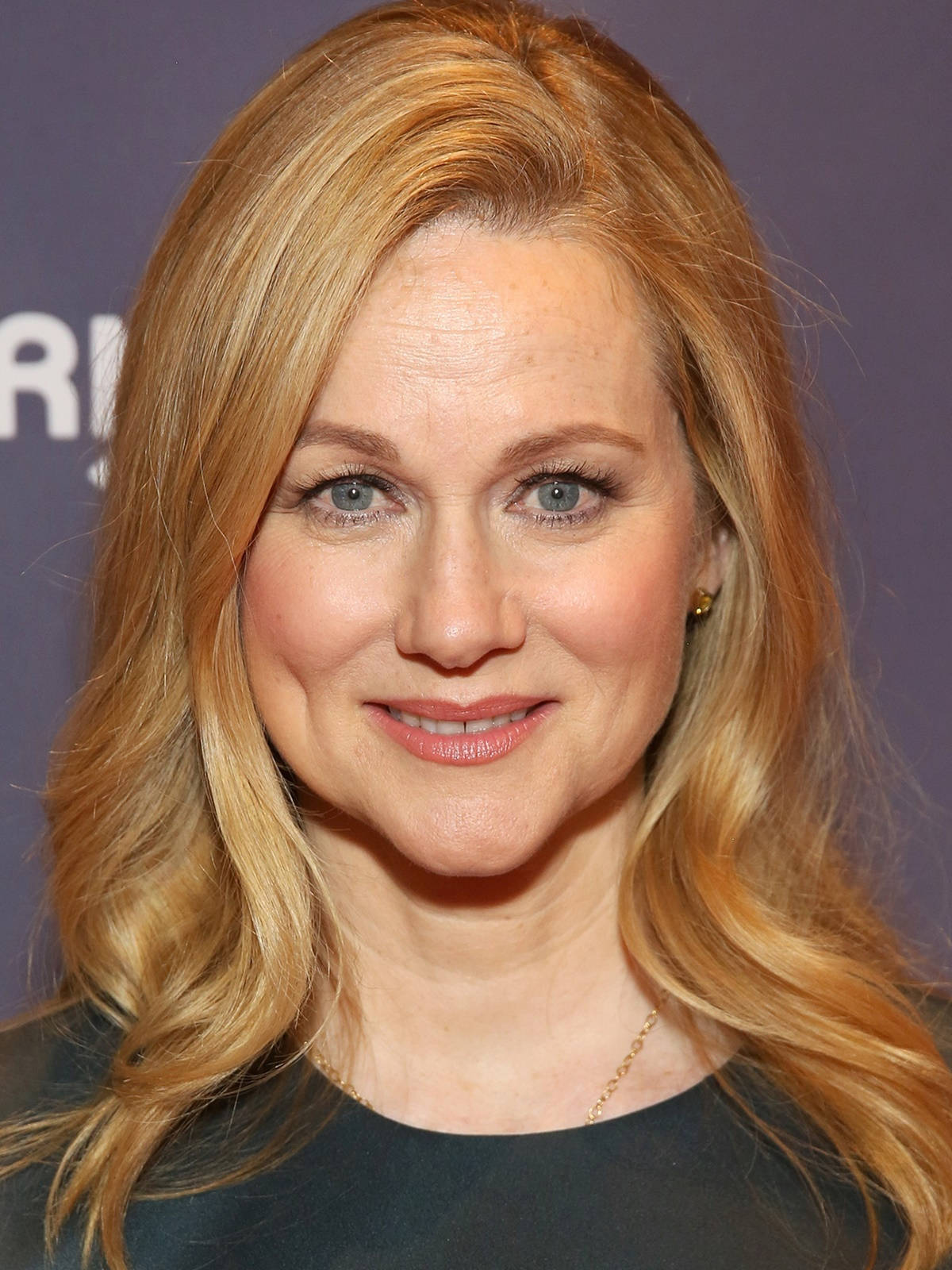 Laura Linney Beautiful Jawline Background