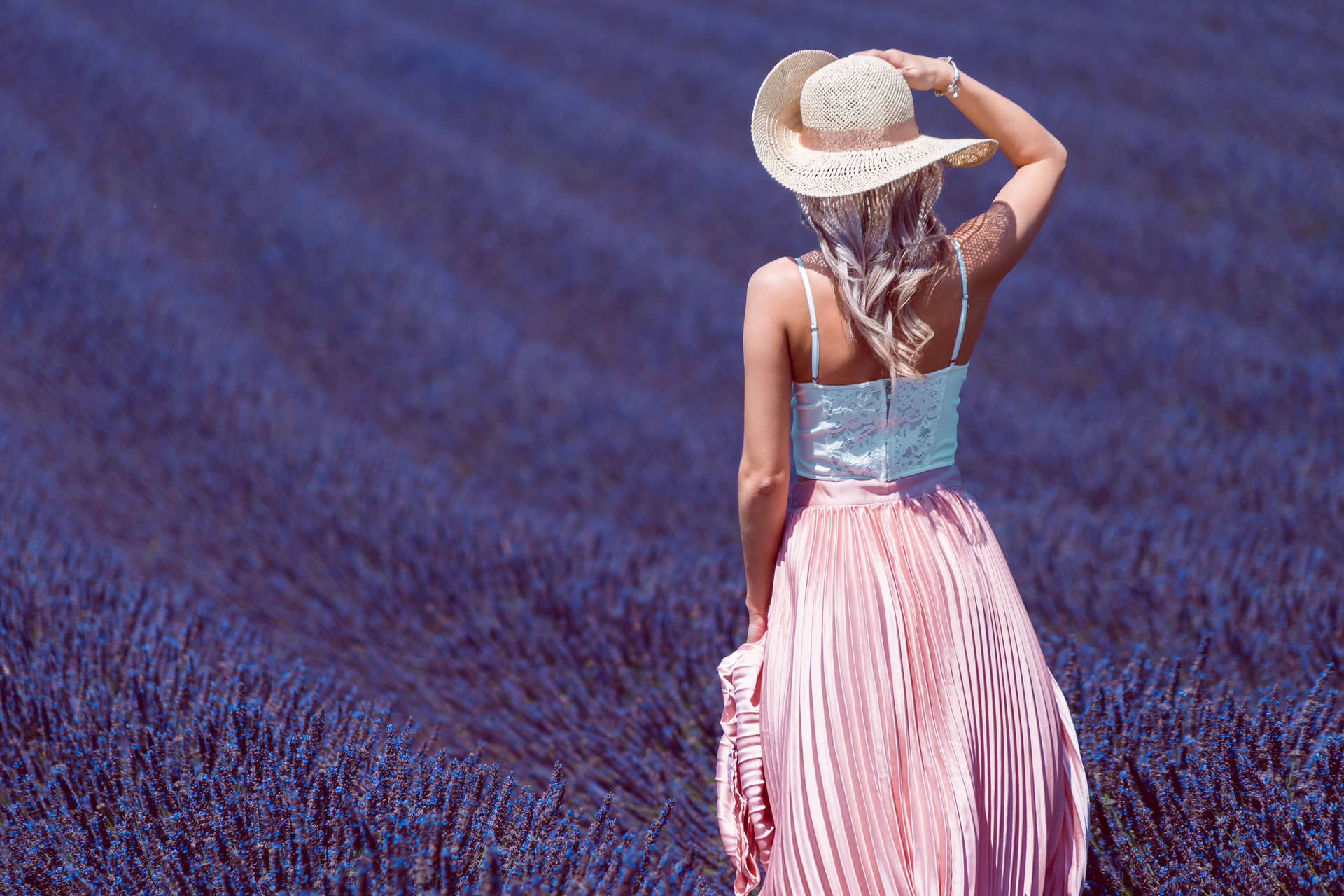 Lavender Aesthetic And Lady In The Field