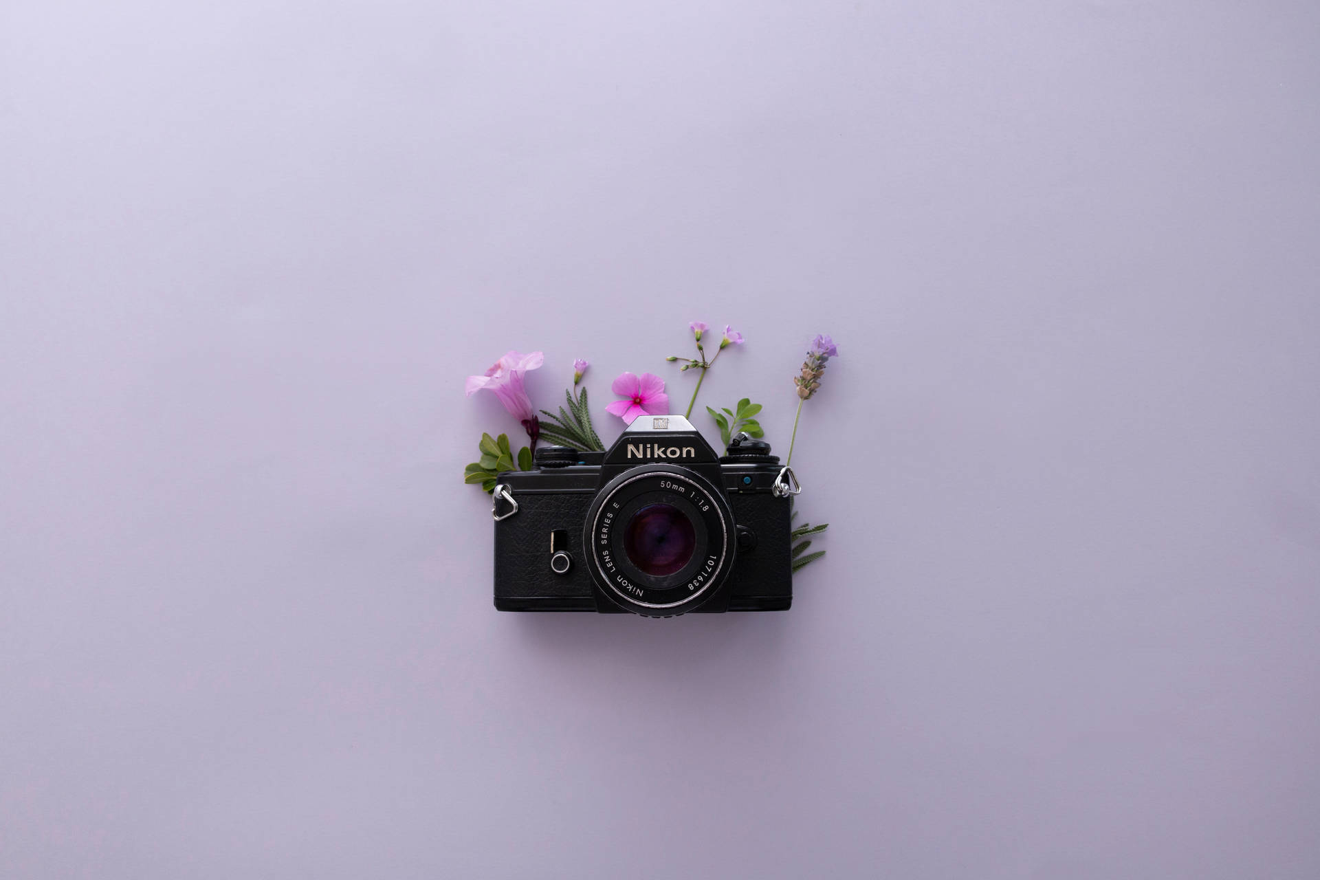 Lavender Aesthetic And Nikon Camera Background