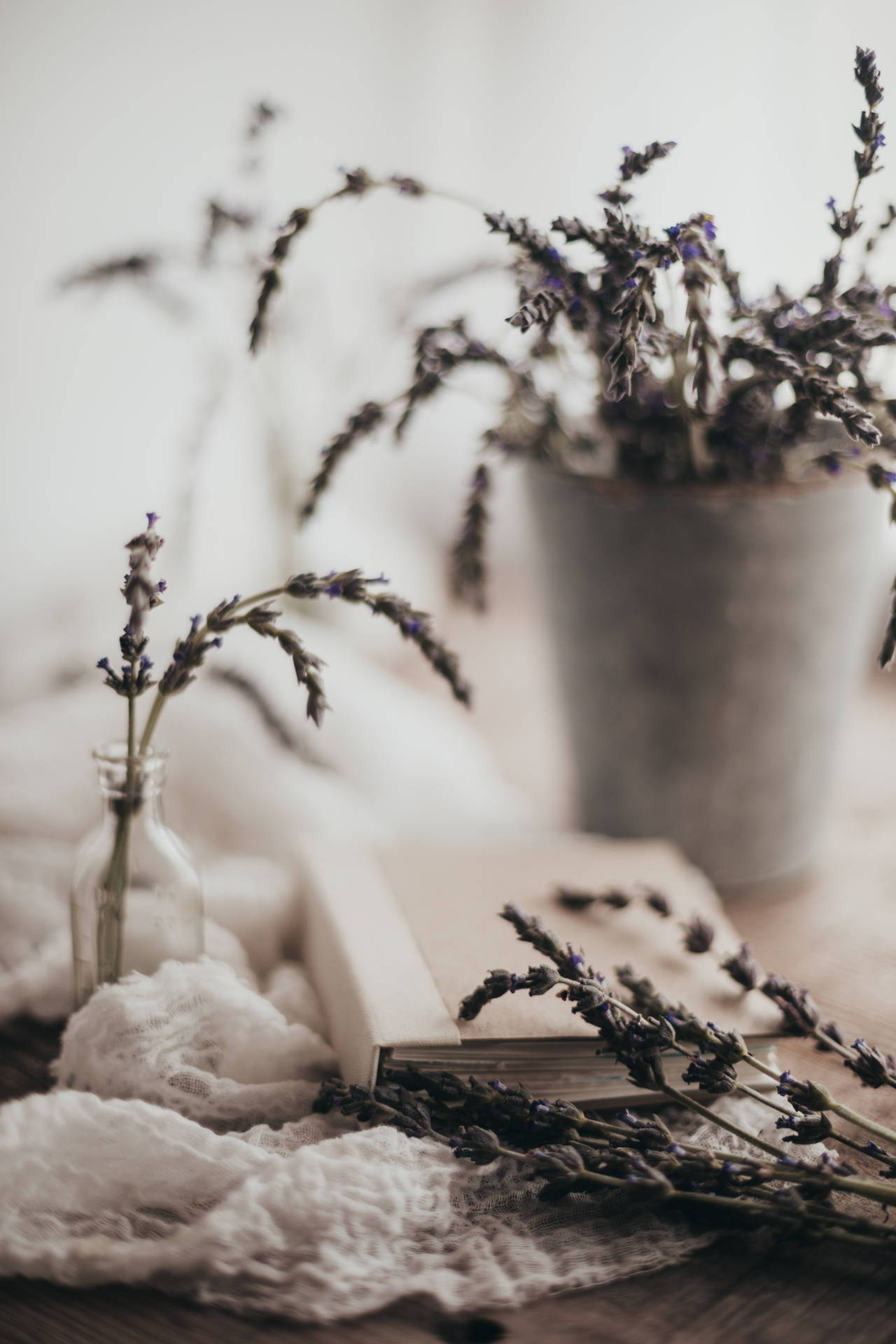 Lavender Aesthetic Book Desktop Background