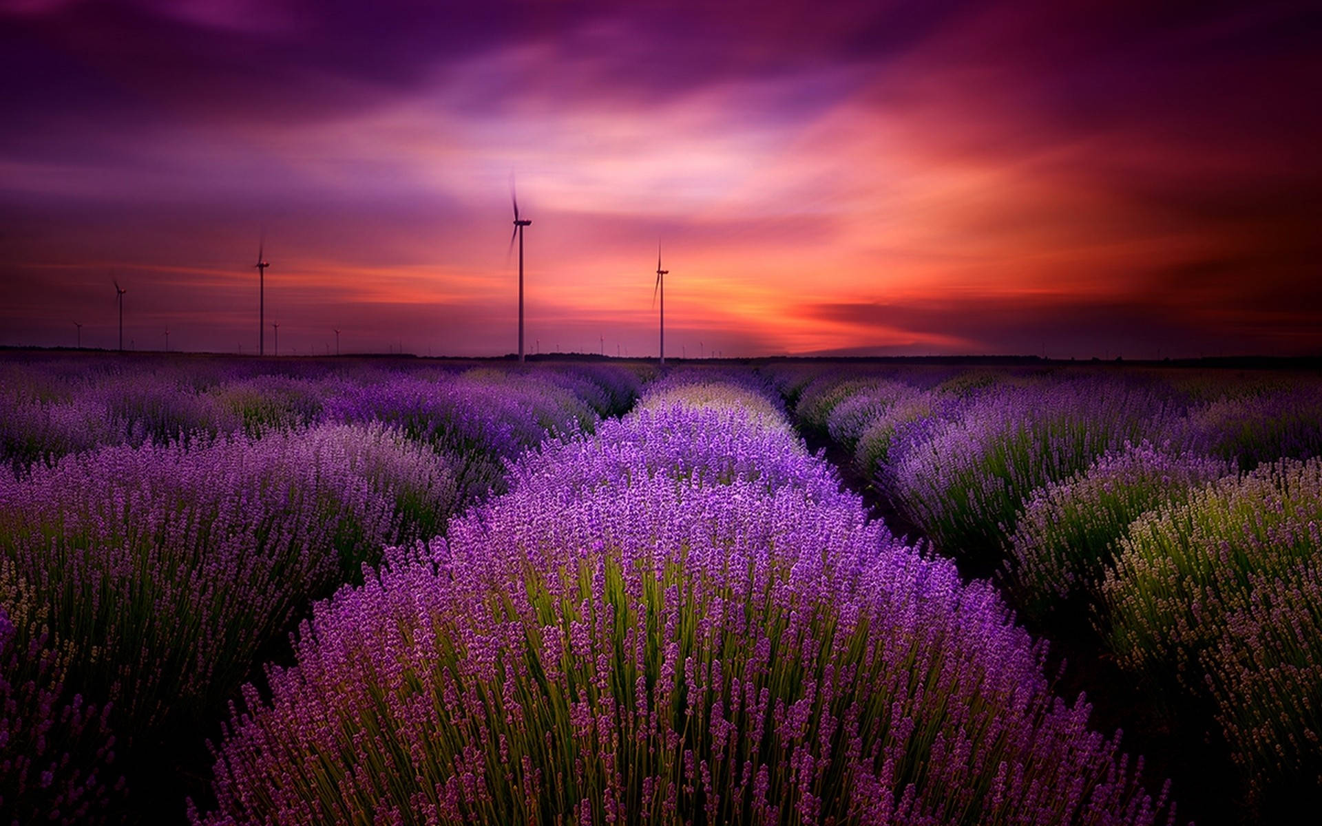 Lavender Aesthetic Field And Windmills Background