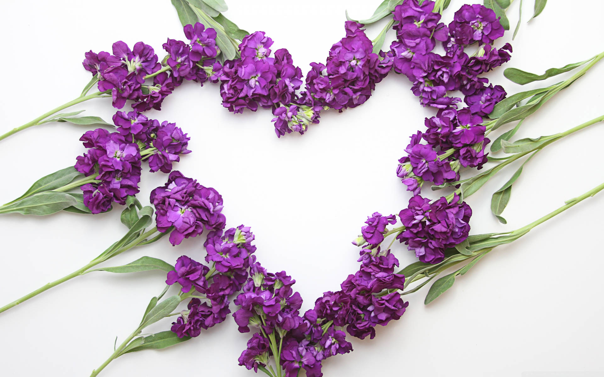 Lavender Aesthetic Flower Heart Background