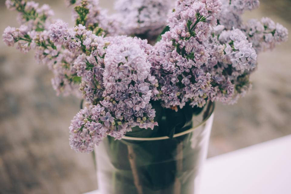 Lavender Aesthetic Flowers In A Vase Background