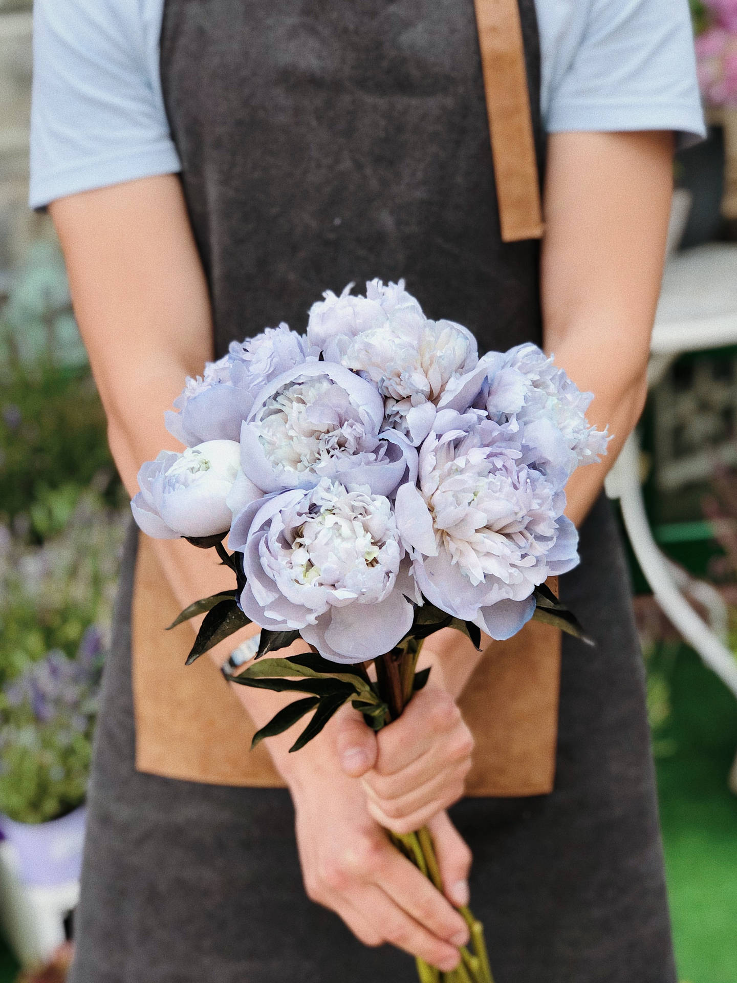 Lavender Chinese Peonies Flower Bouquet Background