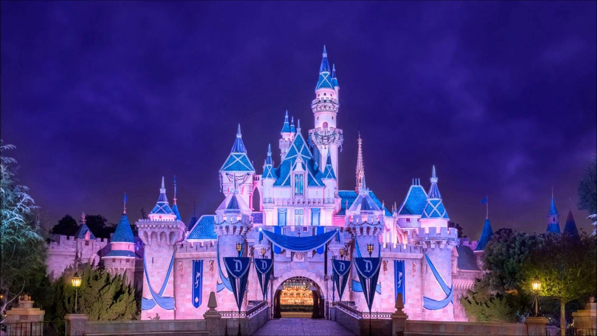 Lavender Disney Castle