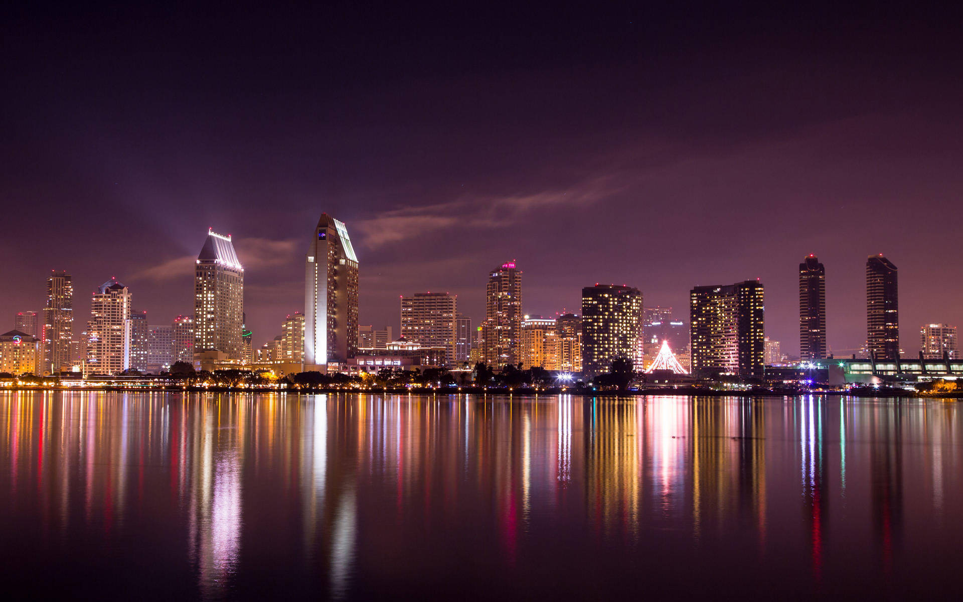 Lavender Doha Lavender Night Background