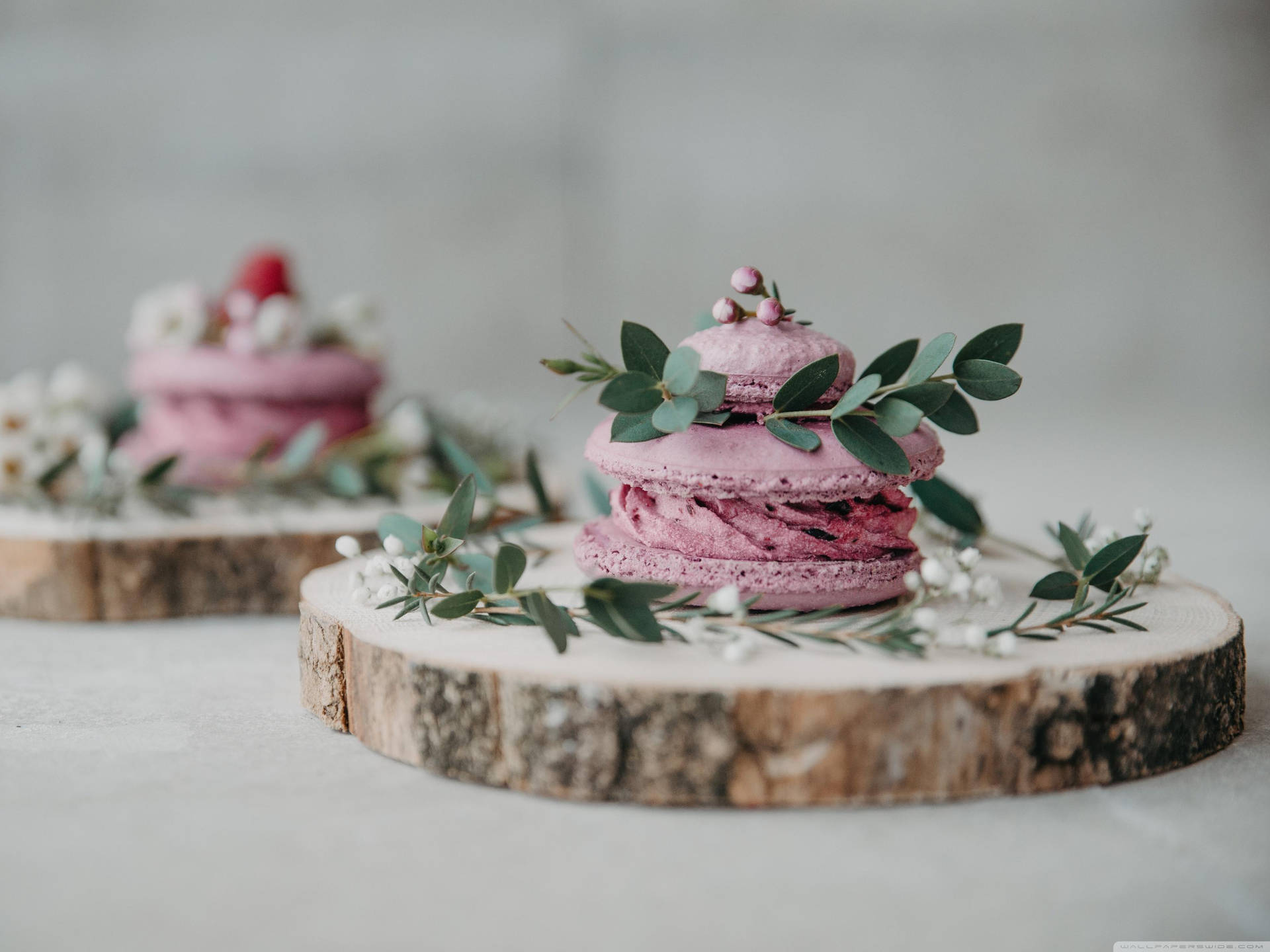 Lavender Macaron Dessert Background