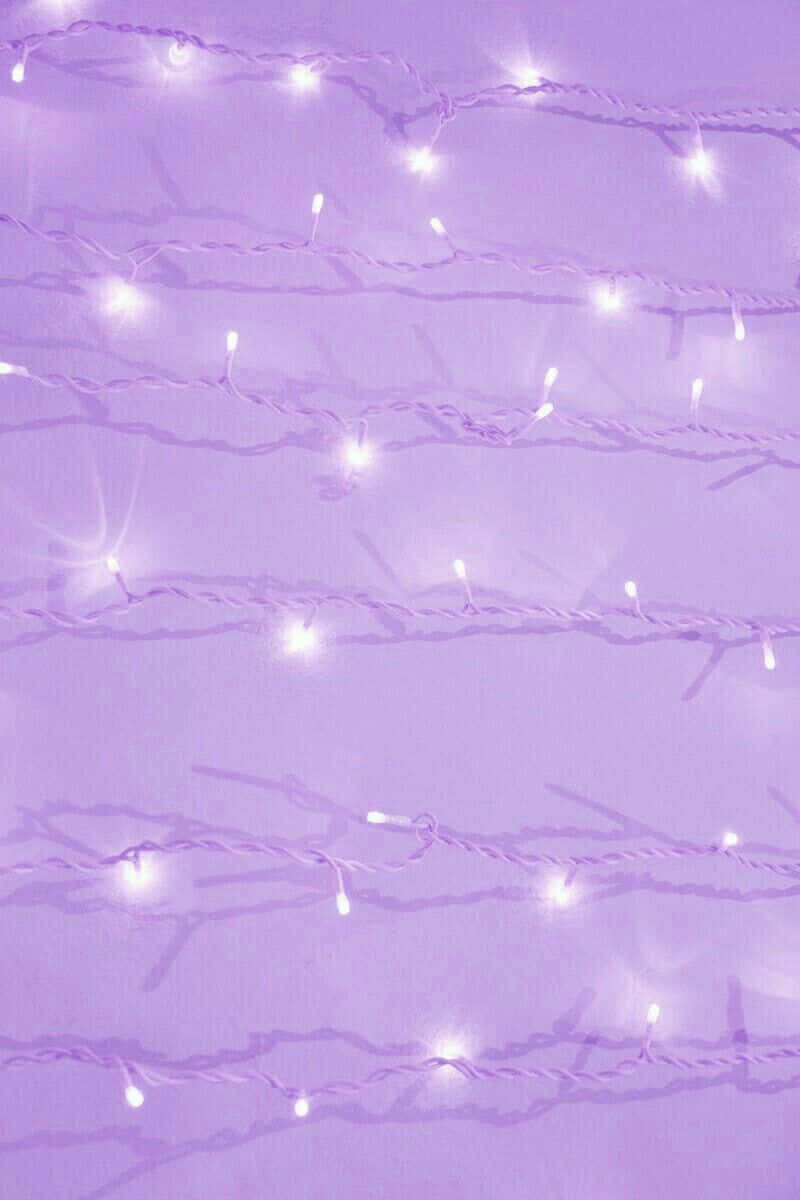 Lavender Purple Fairy Lights Background