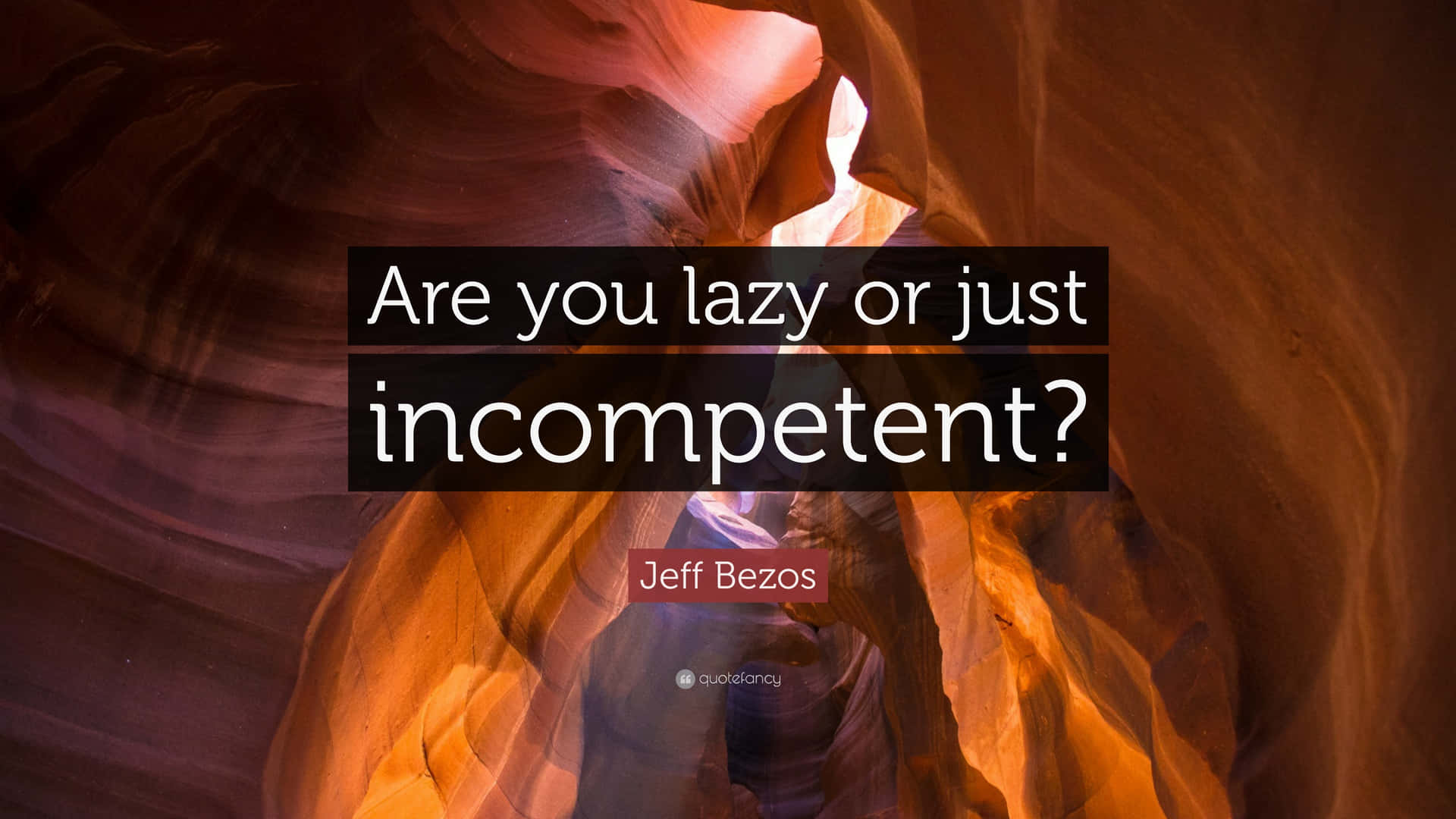 Lazy Or Just Incompetent Background