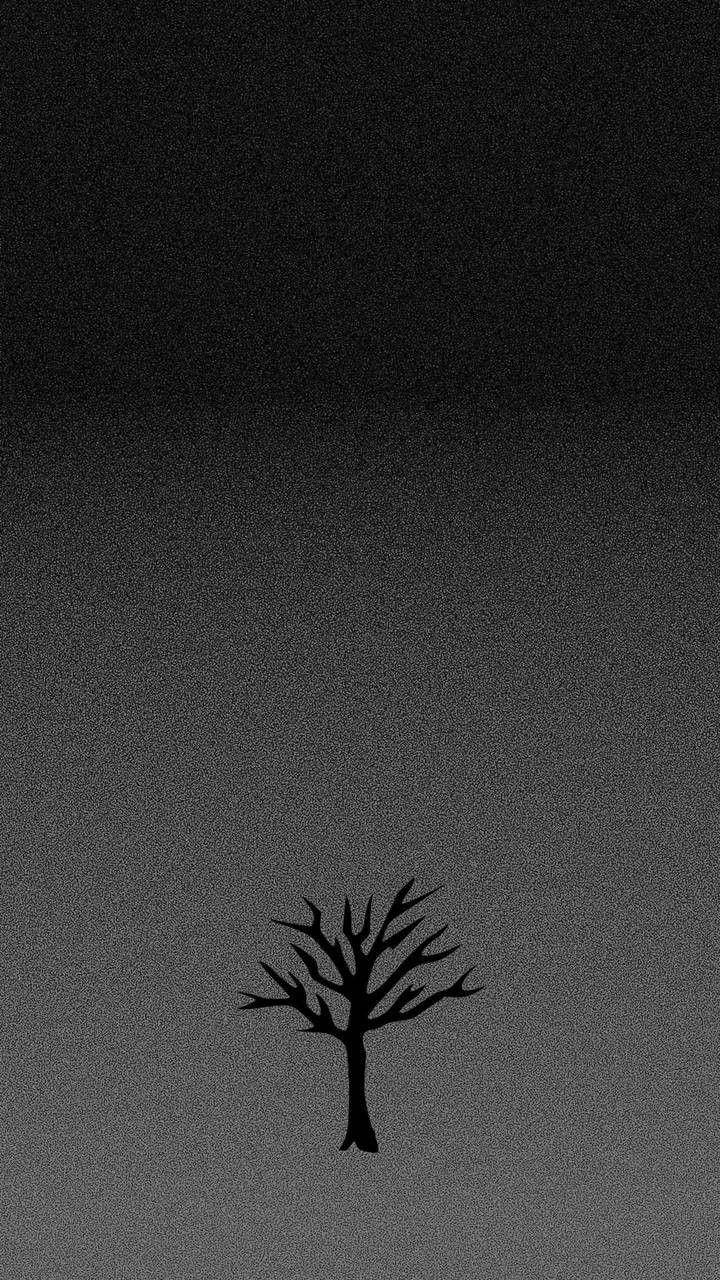 Leafless Tree Xxxtentacion Aesthetic Background