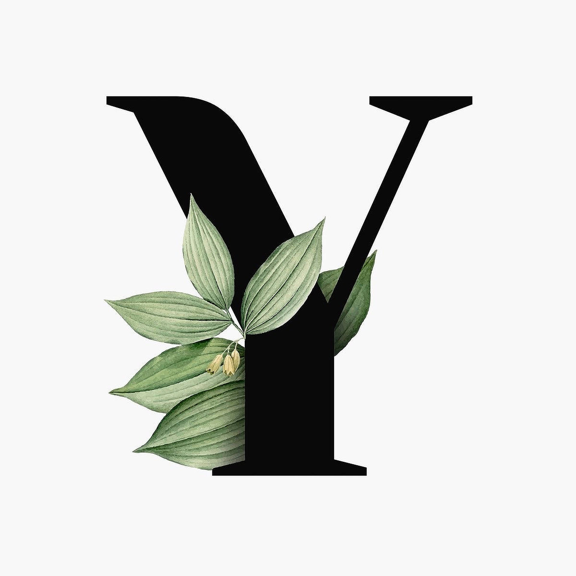 Leafy Letter Y Background