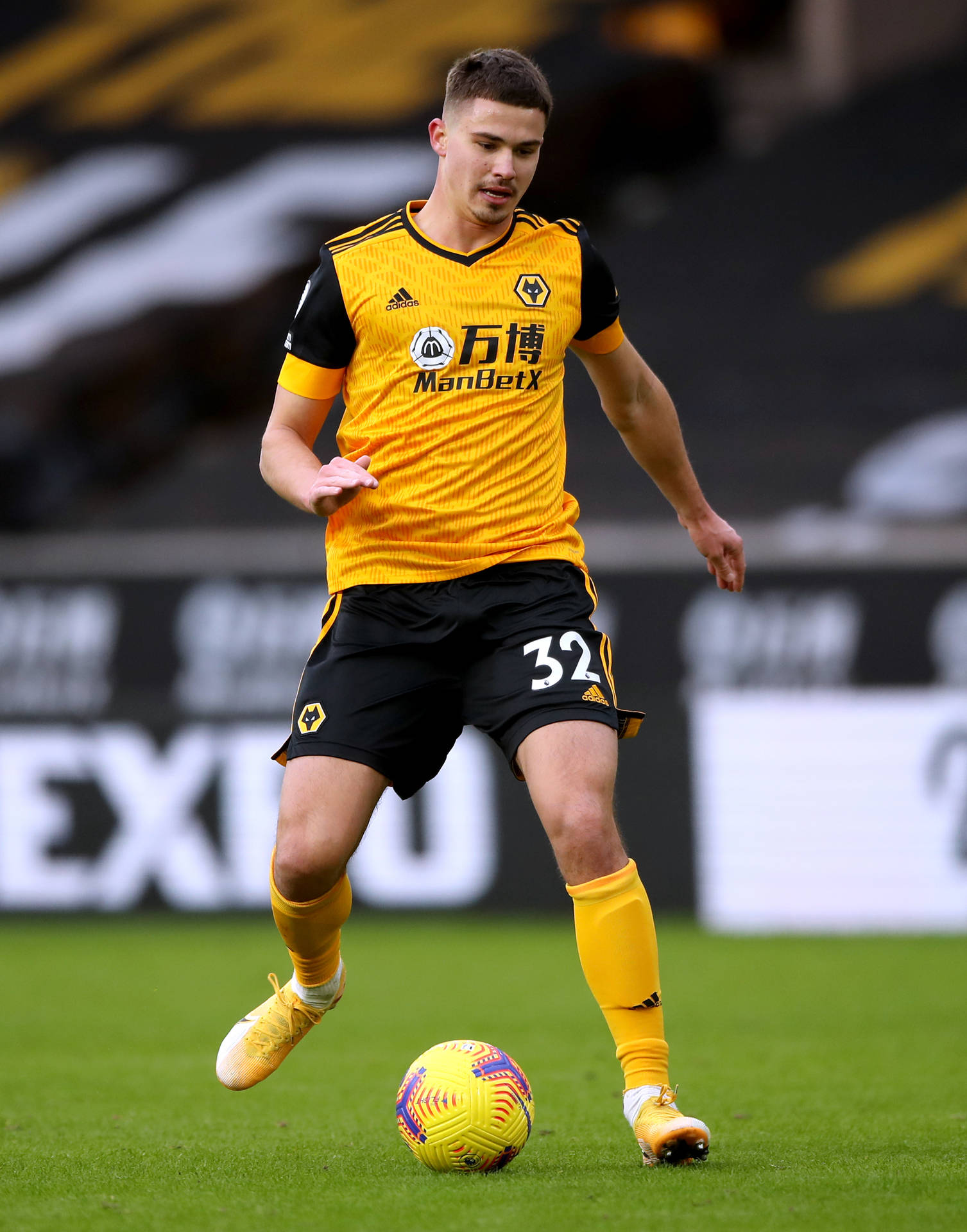 Leander Dendoncker Bumblebee Colors Background