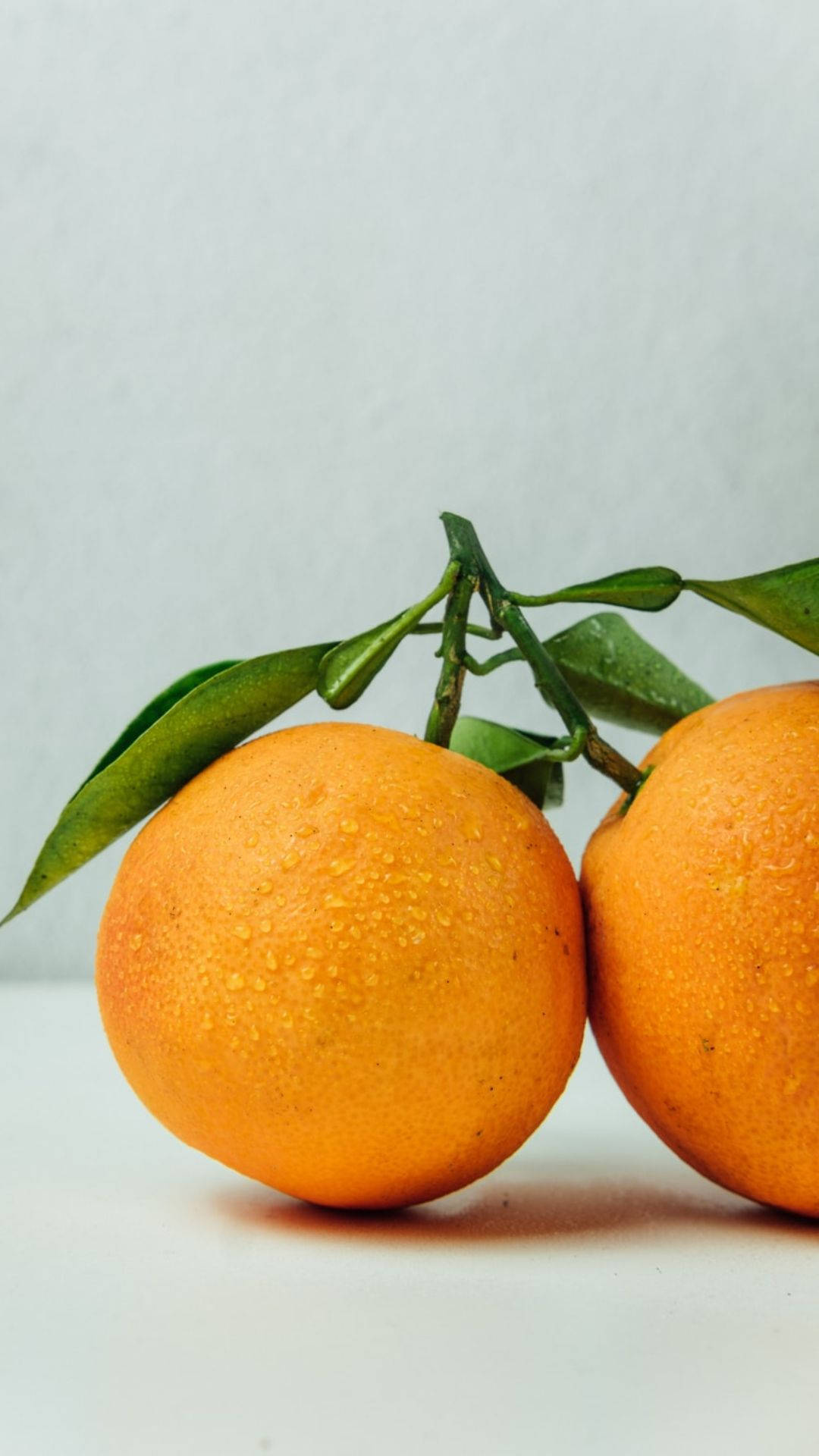 Leaning Orange Fruits Background