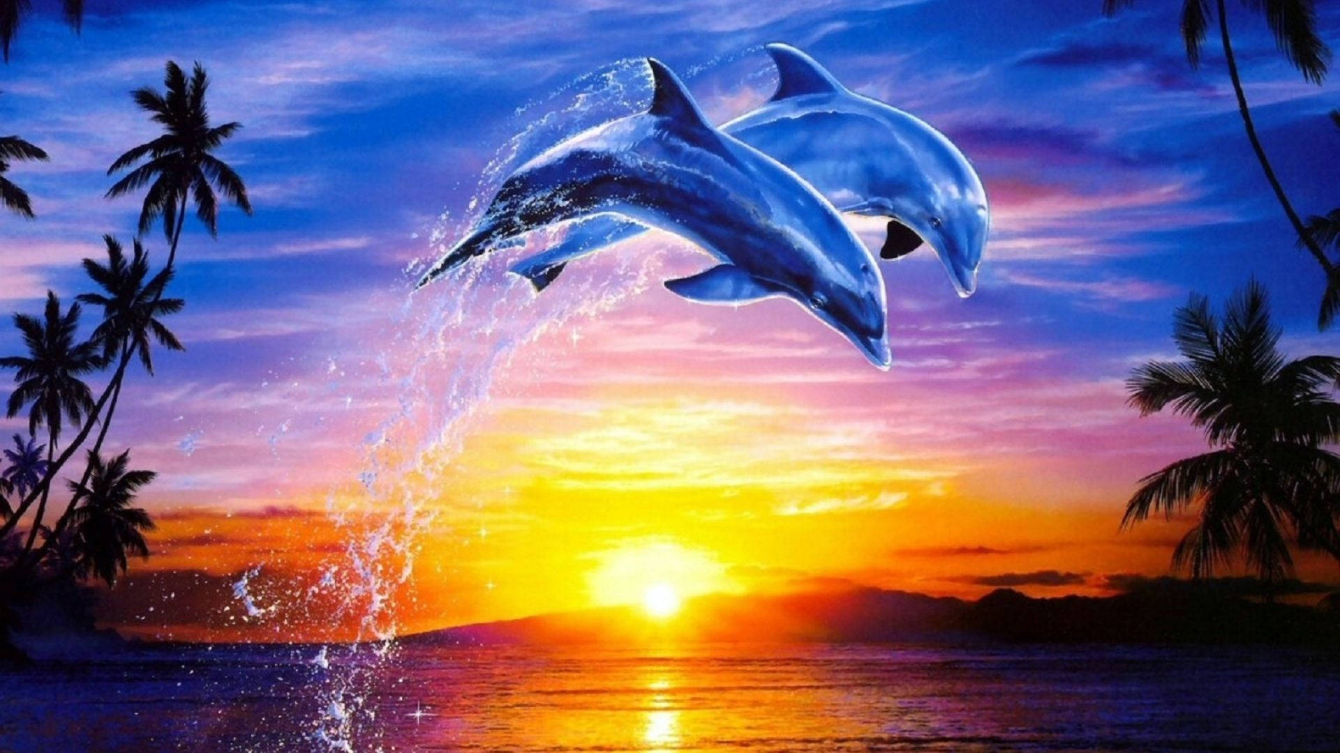 Leaping Dolphins At Sunset Background