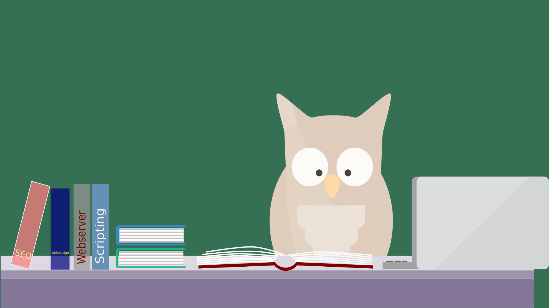 Learning Owl In Green Background Background