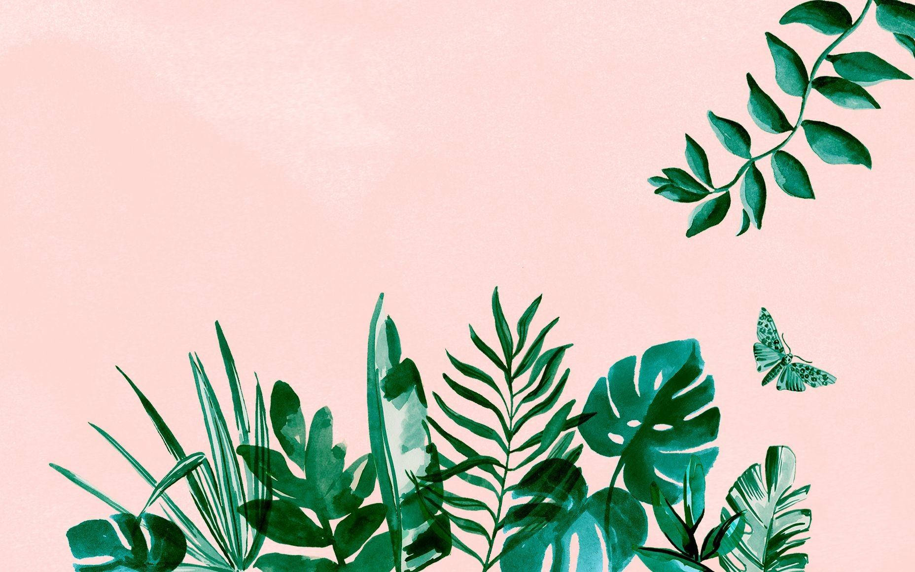 Leaves In A Pink Pastel Aesthetic Desktop Background