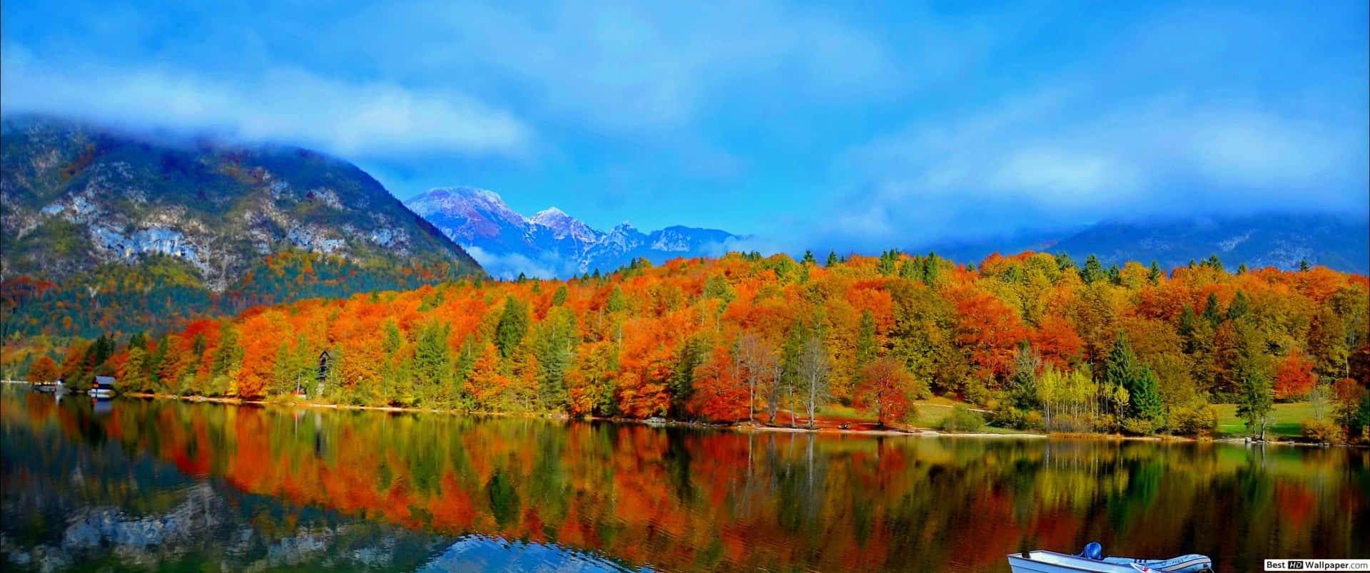 Leaves Of Autumn In 3440x1440 Resolution Background