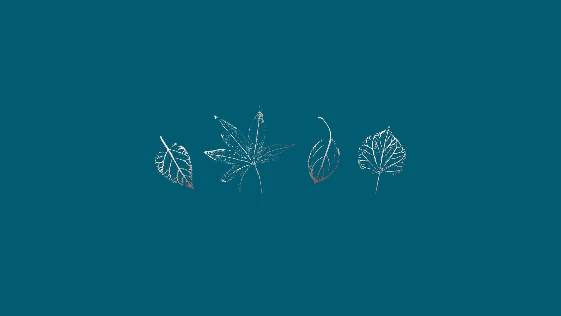 Leaves On Teal Background