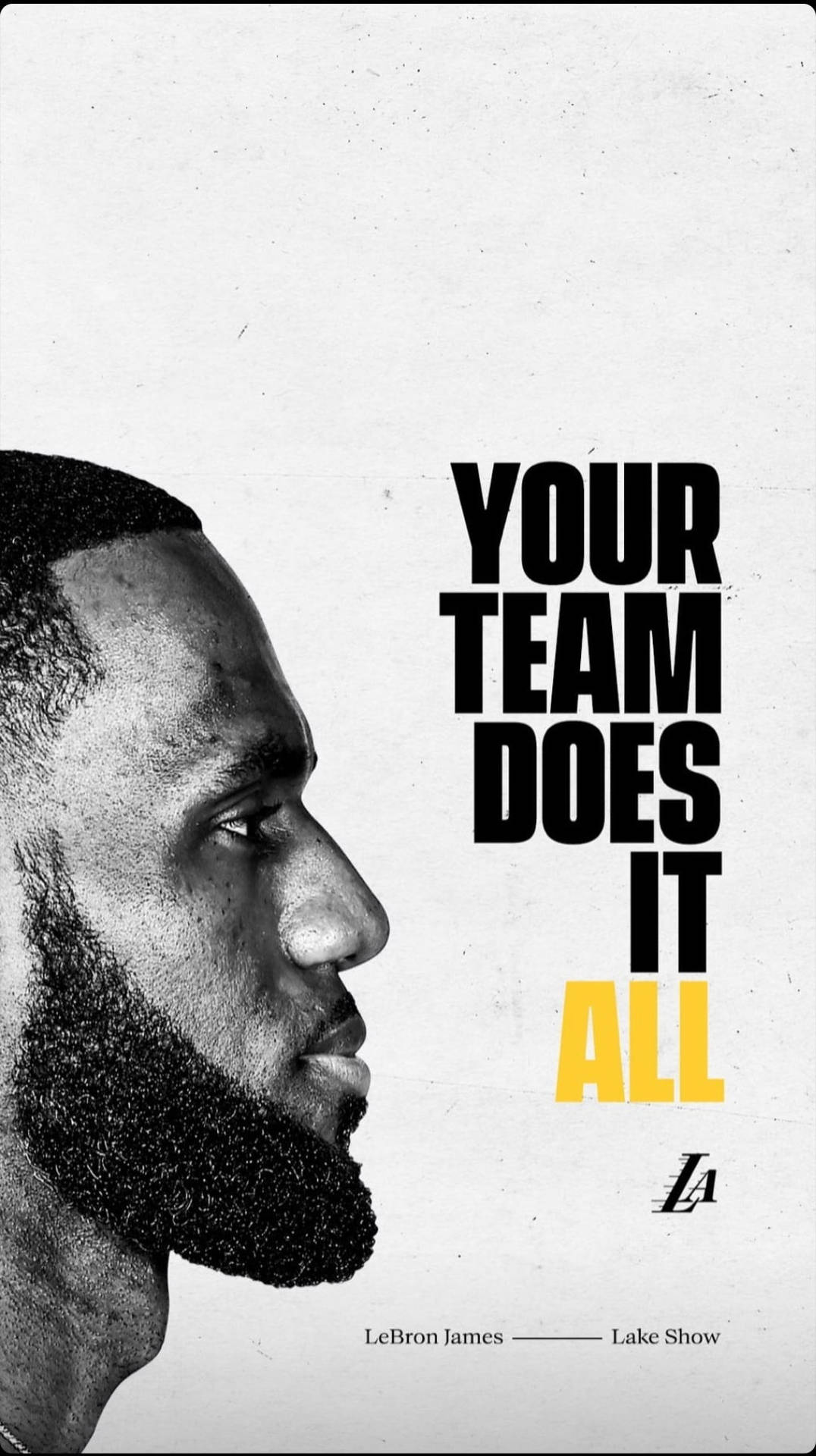 Lebron James Quote Your Team Does It All