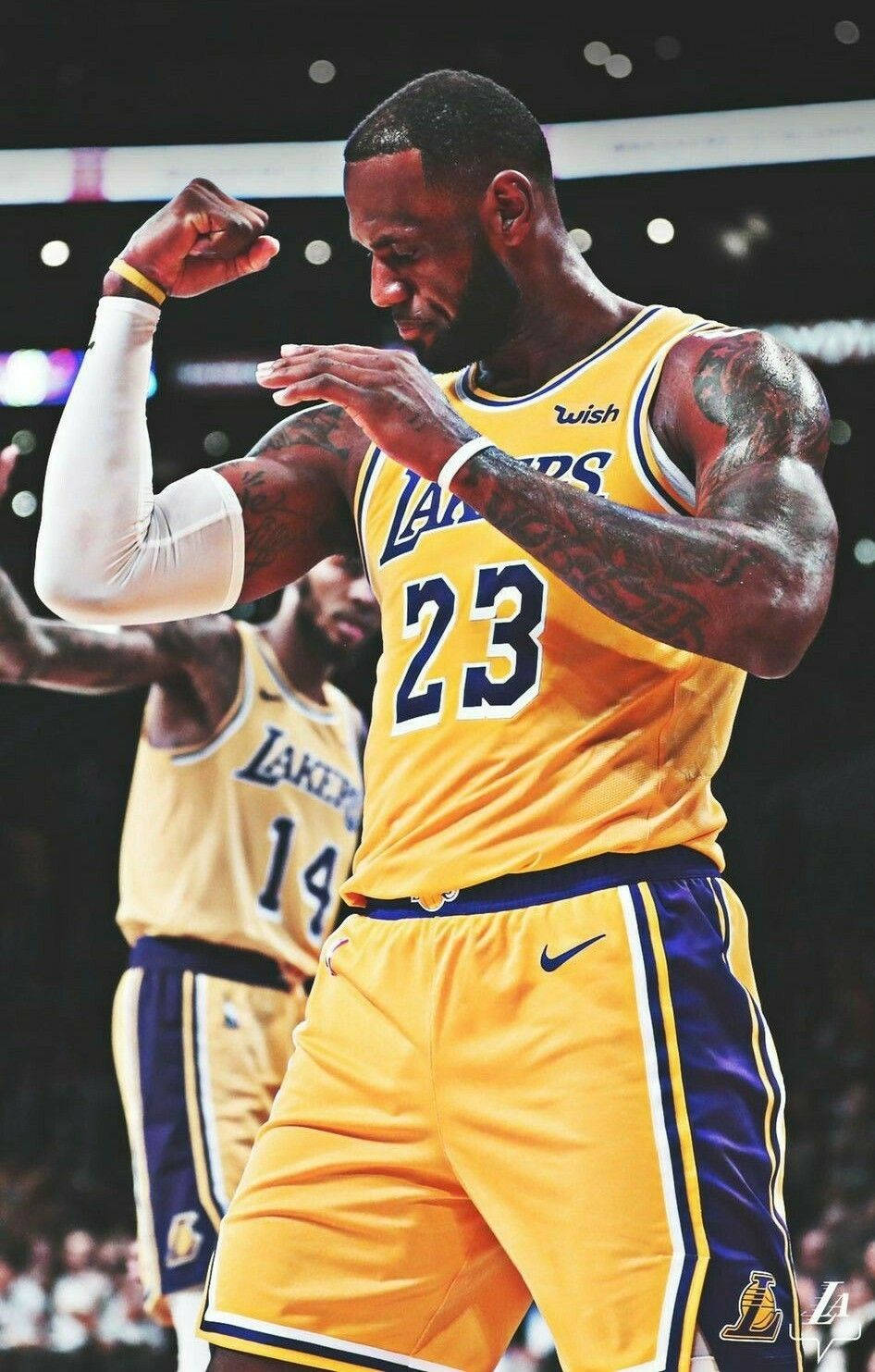 Lebron James The King Lakers Background