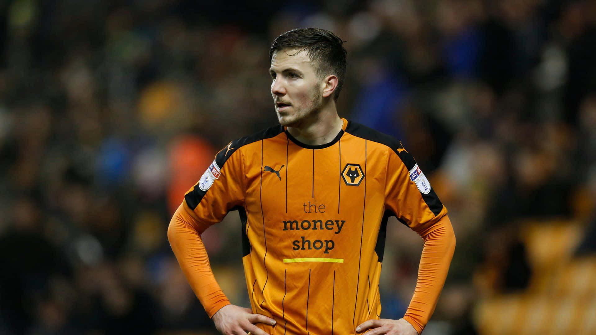 Lee Evans Wolverhampton Wanderers Midfielder Background