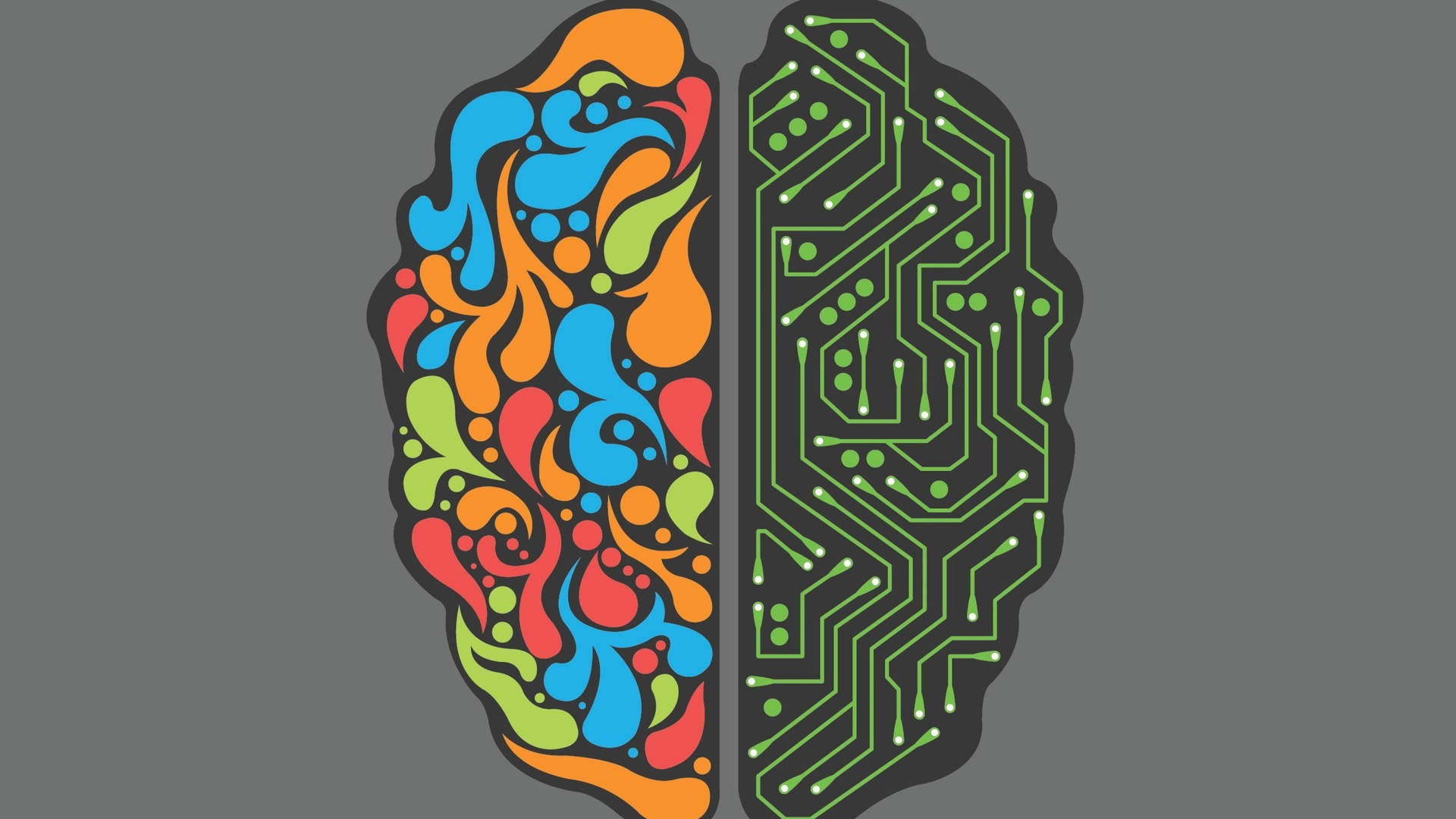 Left Vs Right Cerebral Illustration