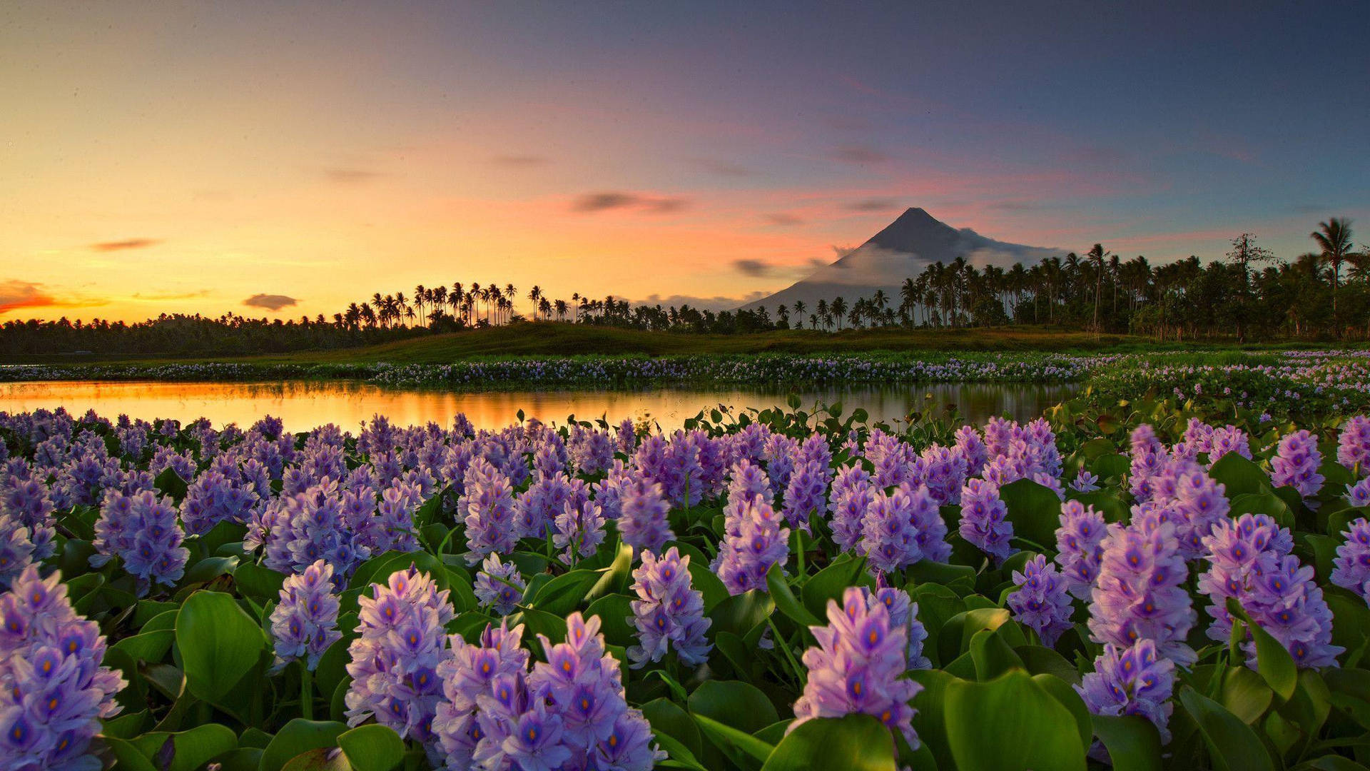 Legazpi City Albay Philippines At Sunset Background