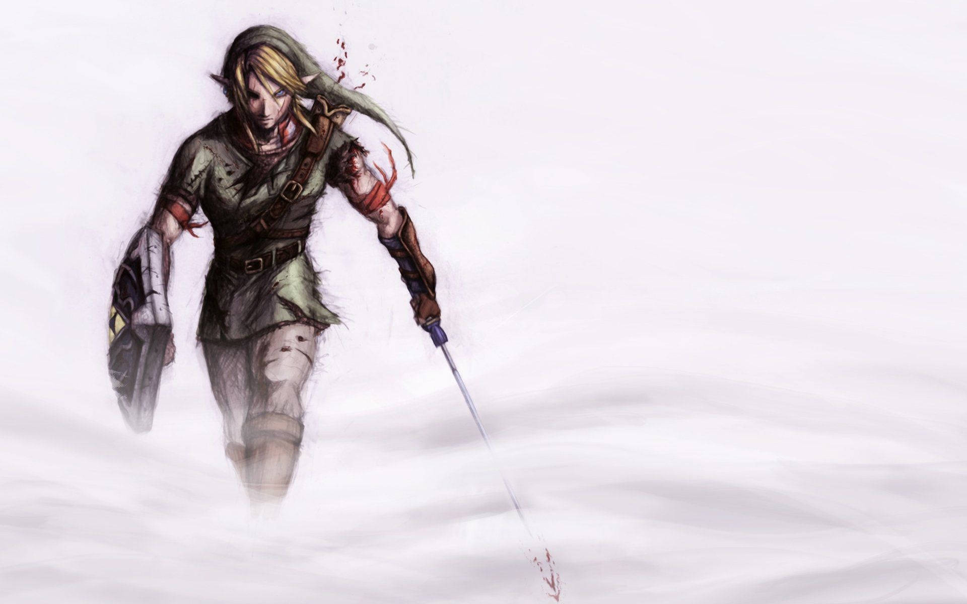Legend Of Zelda Chosen Hero Link Background