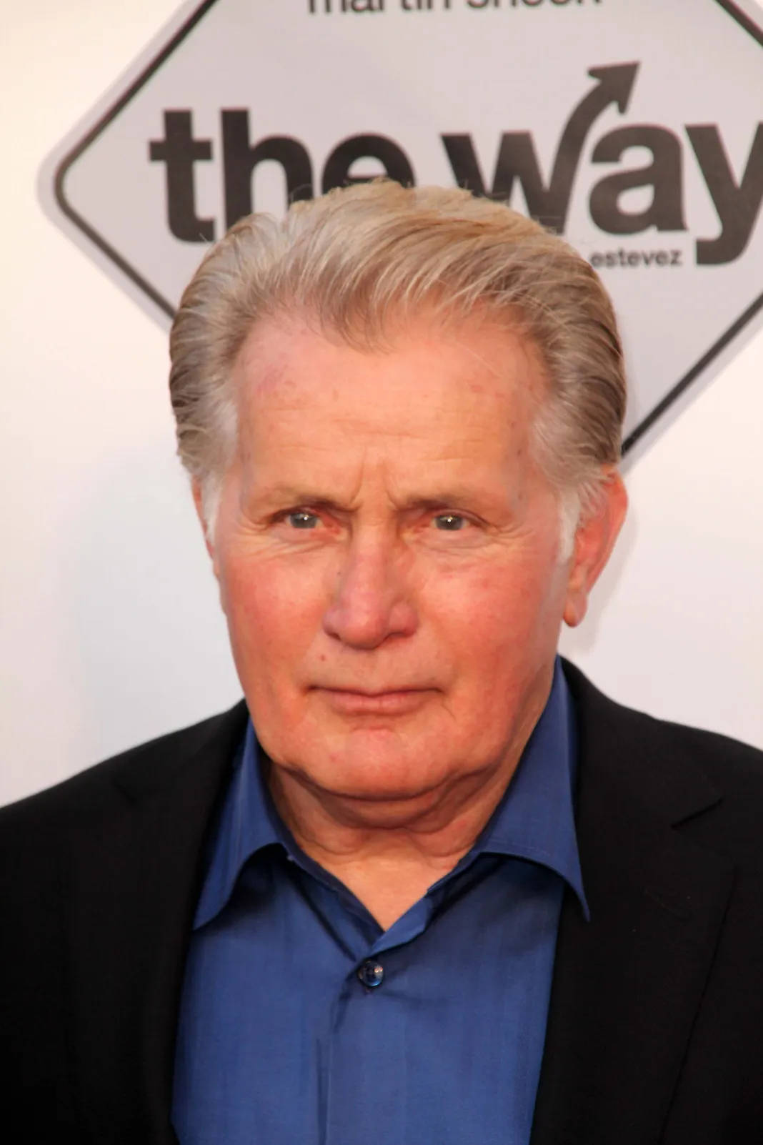 Legendary Actor Martin Sheen At Aarp Film Festival