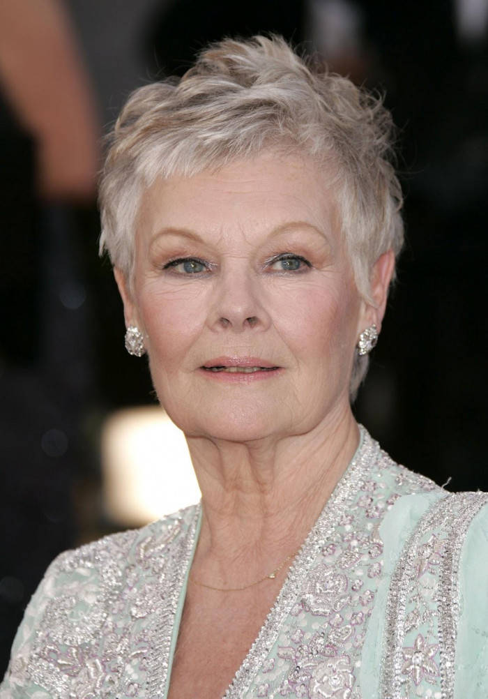 Legendary Actress Judi Dench Shines In Breathtaking Gown Background