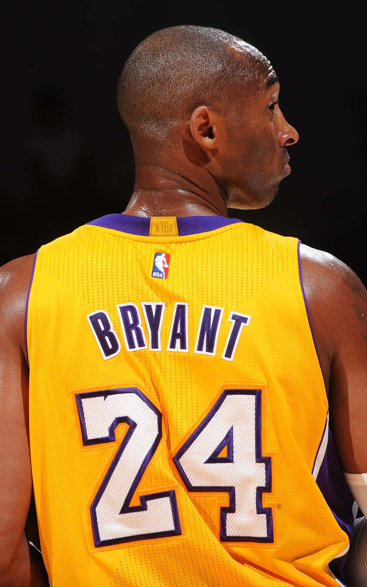 Legendary Kobe Bryant Stands Above The Rest Background