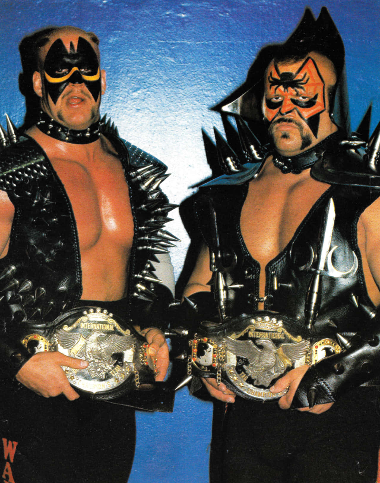 Legendary_ Tag_ Team_ Champions Background