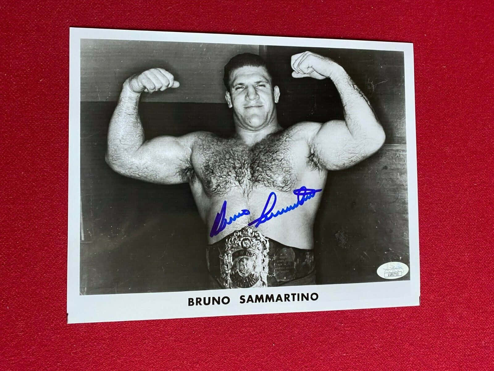 Legendary Wrestler Bruno Sammartino Autographed Black And White Photograph Background