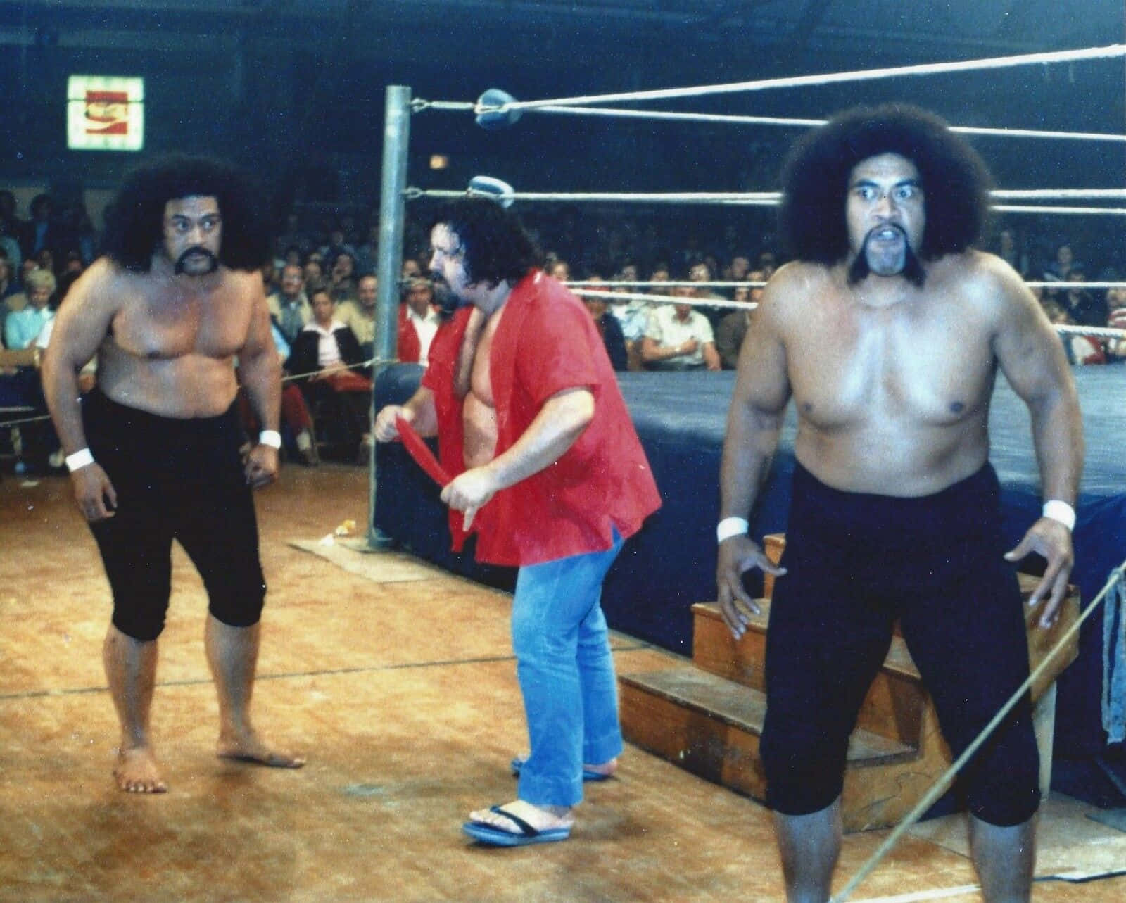 Legendary Wrestling Manager Lou Albano With Wrestlers Sika And Afa Anoa'i Background