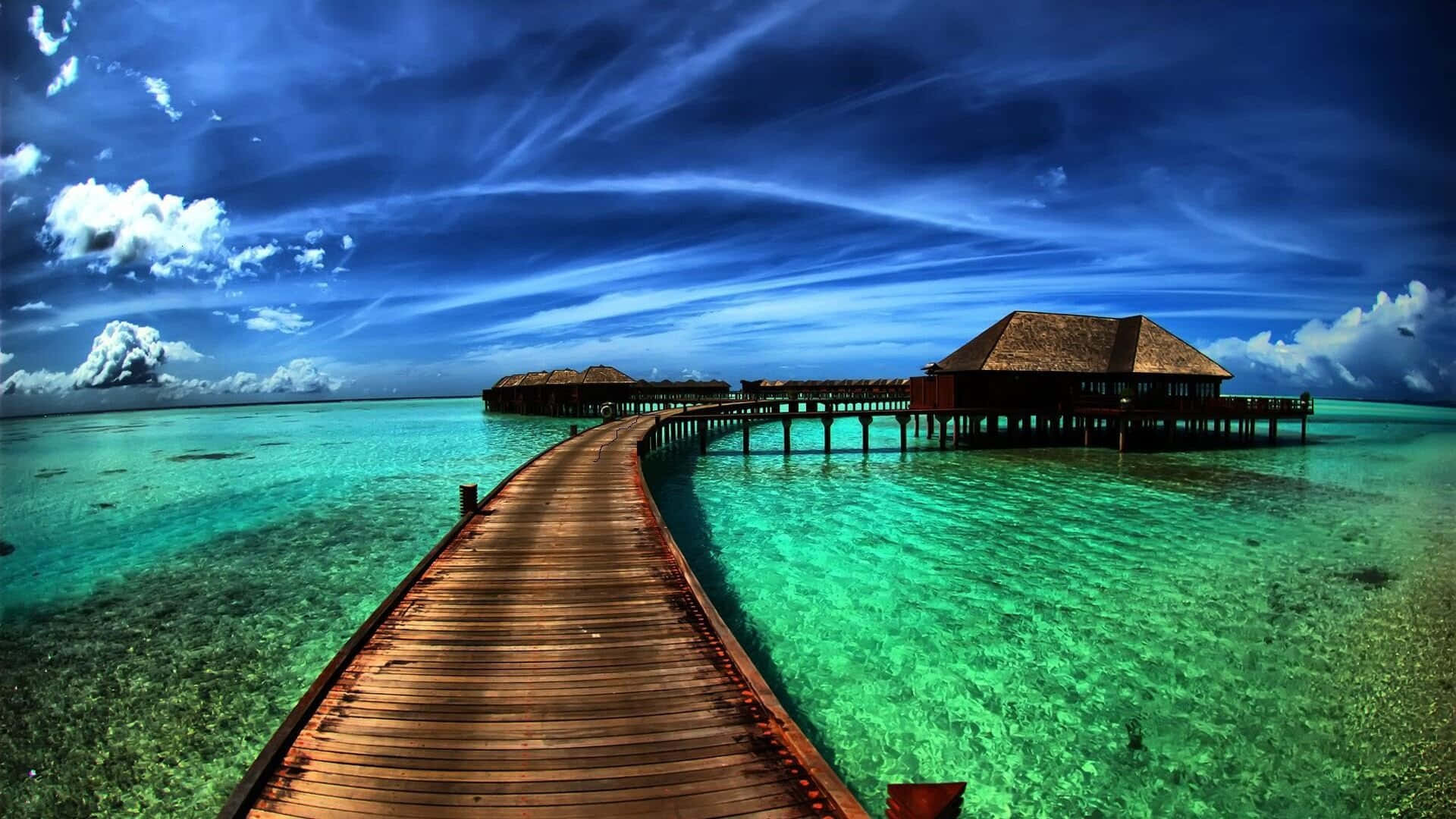 Legible Sea Art Background