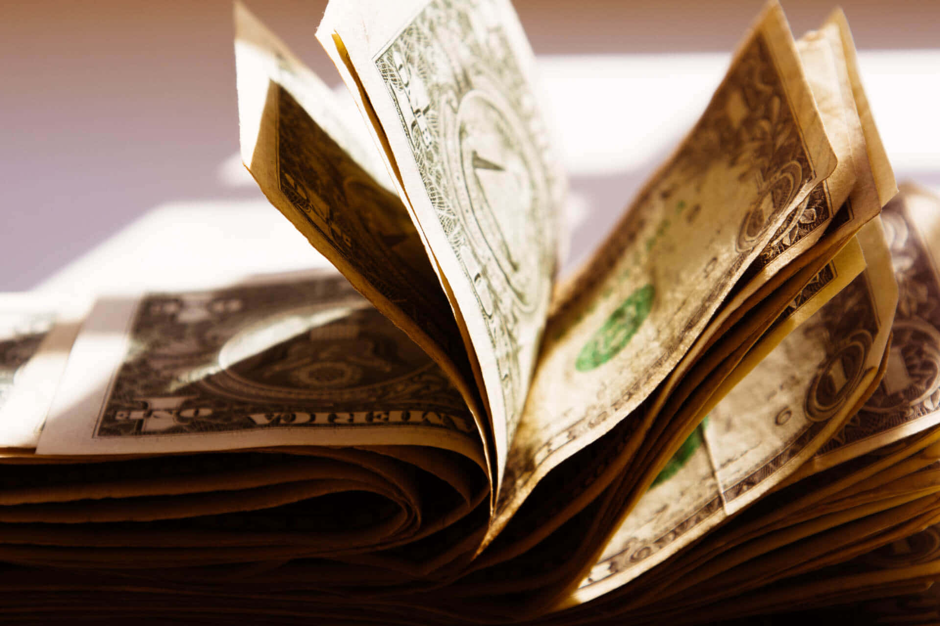 Legislative Bills Bundle