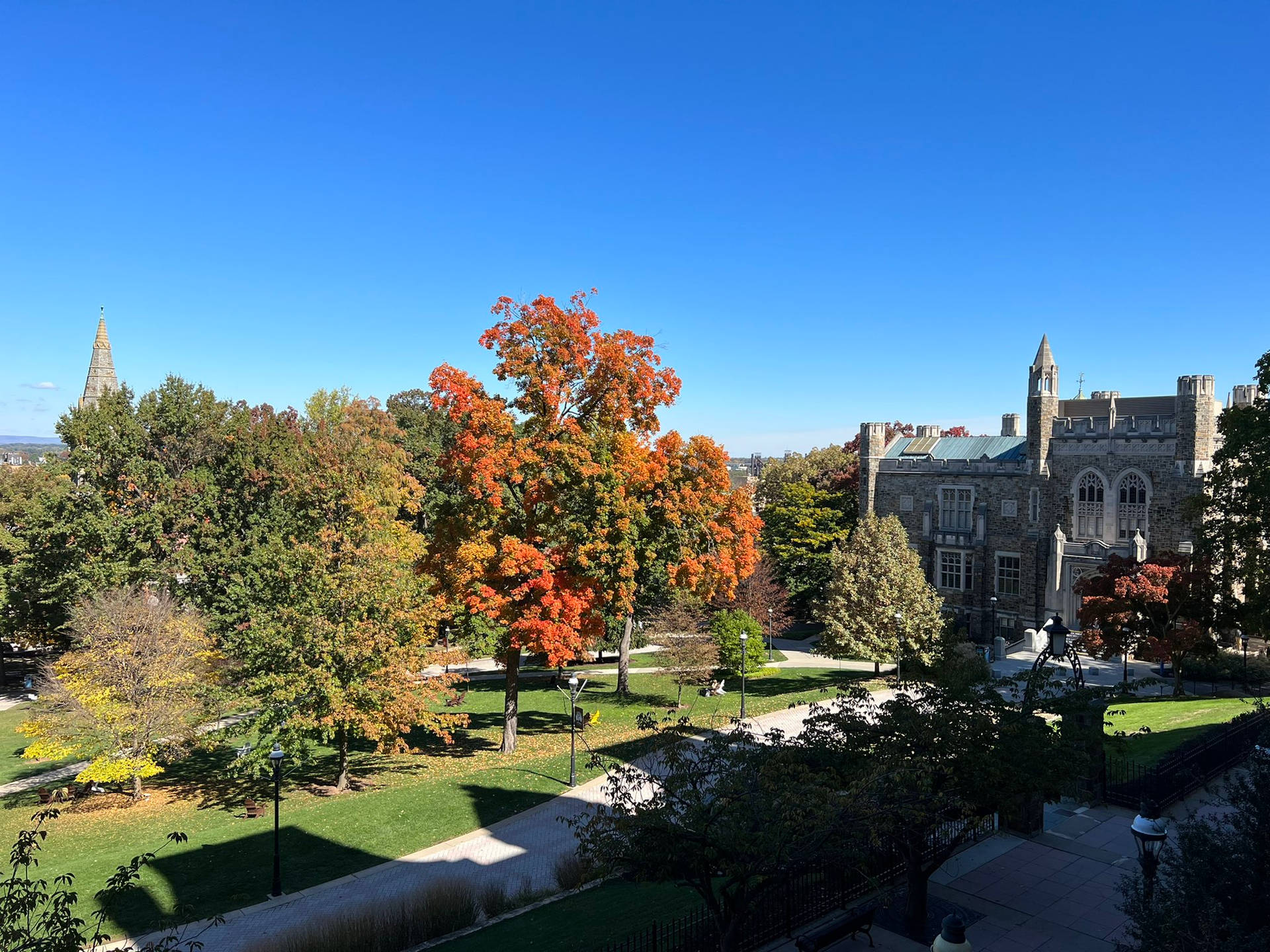 Lehigh University Trees Campus Grounds Background