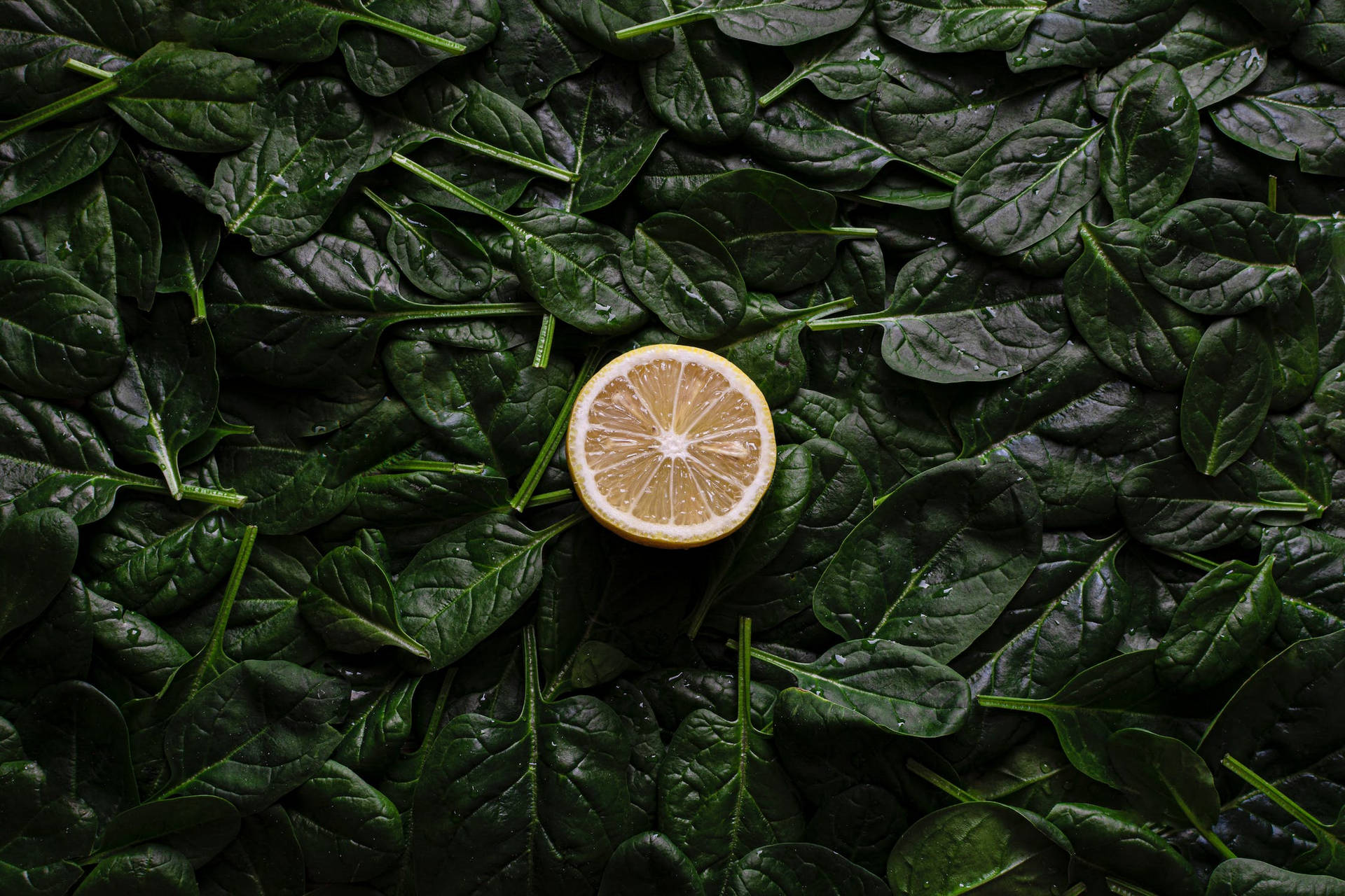 Lemon And Spinach Background