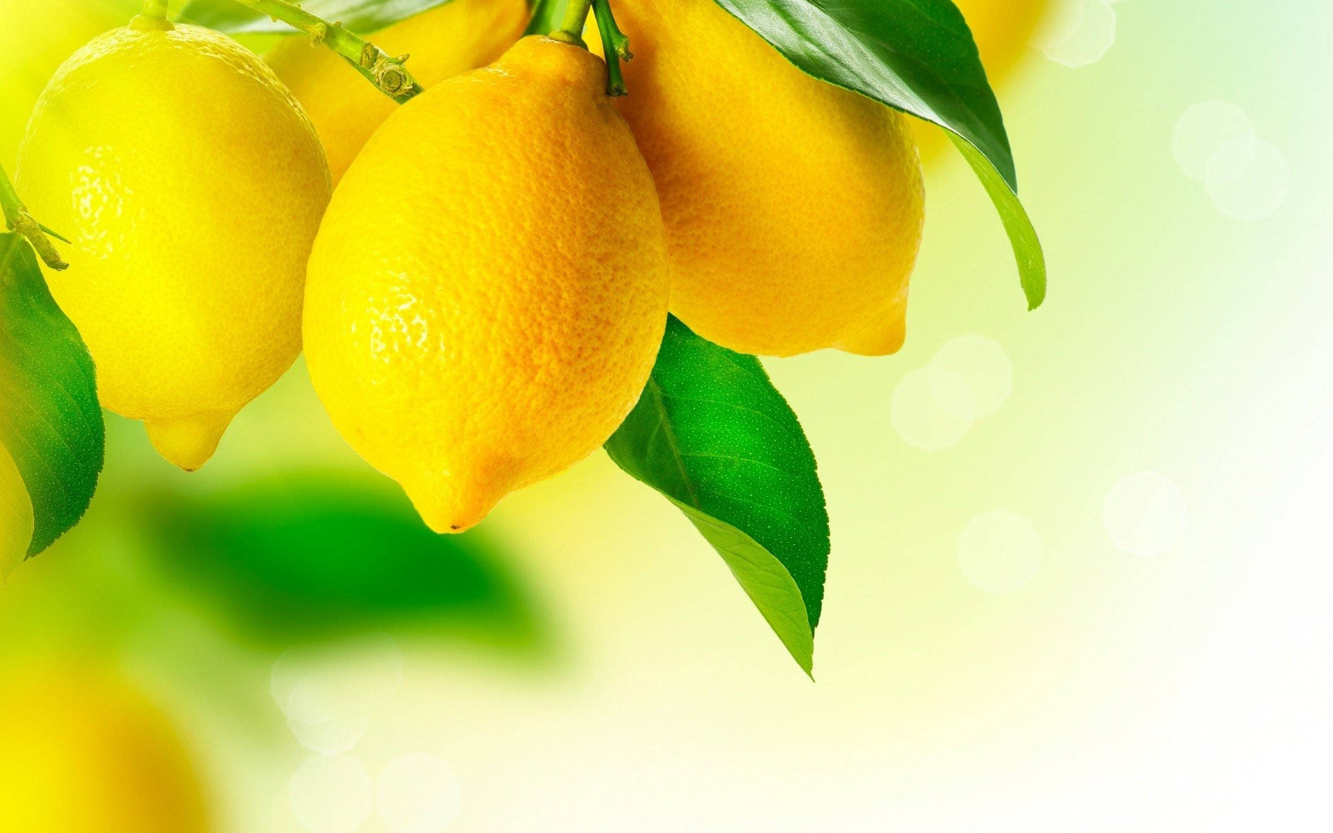 Lemon Fruit Aesthetic