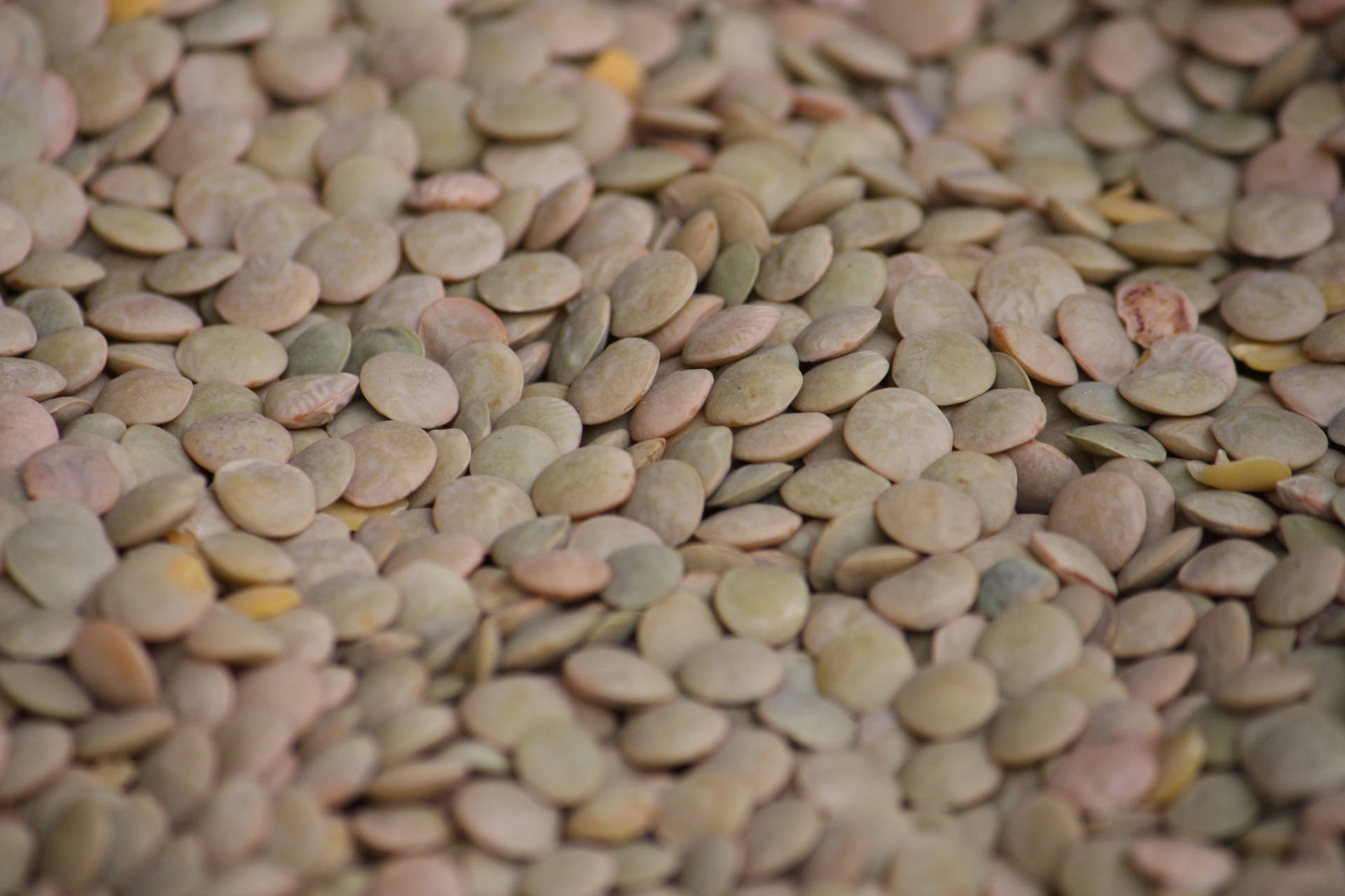 Lentils In Large Quantity Background