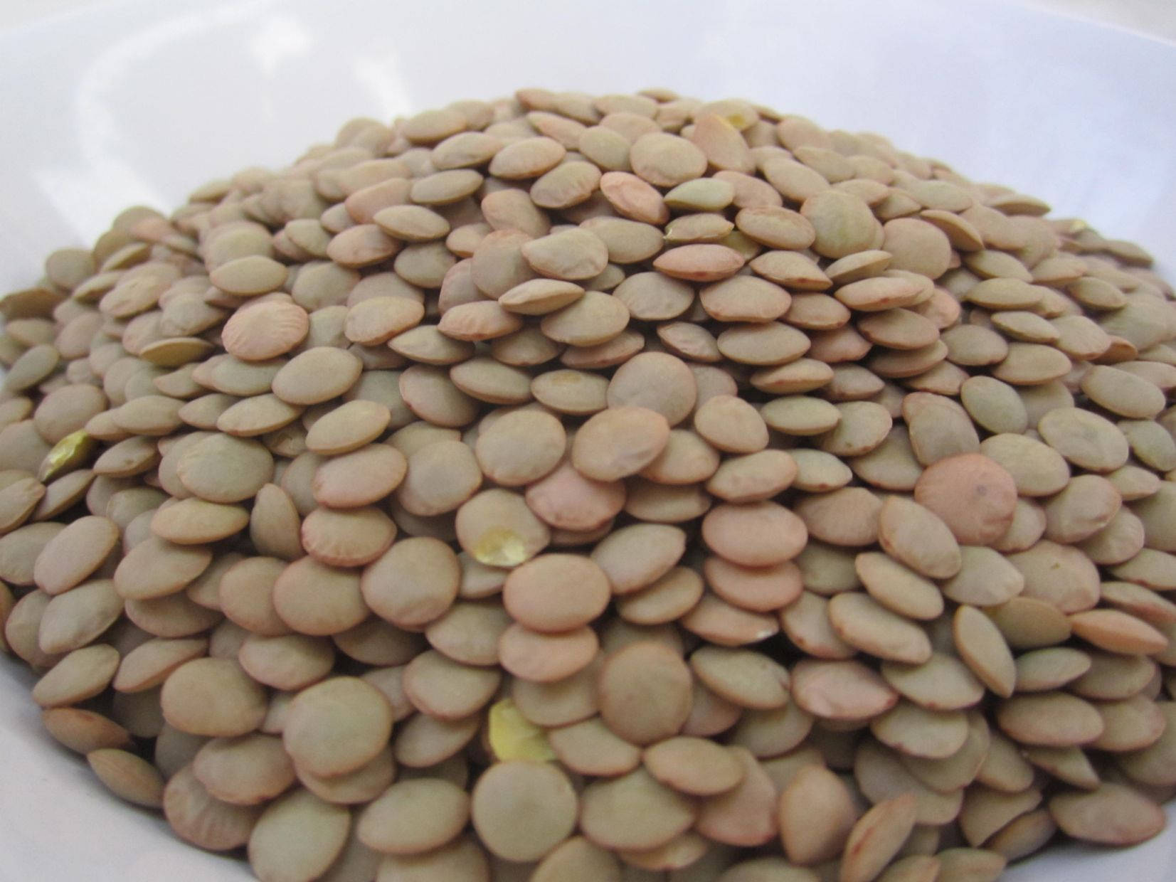 Lentils In White Bowl Background