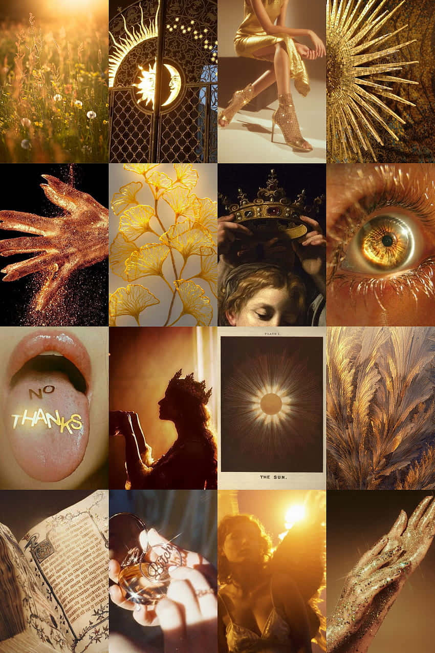 Leo Aesthetic - A Balanced Synergy Of Boldness And Softness Background