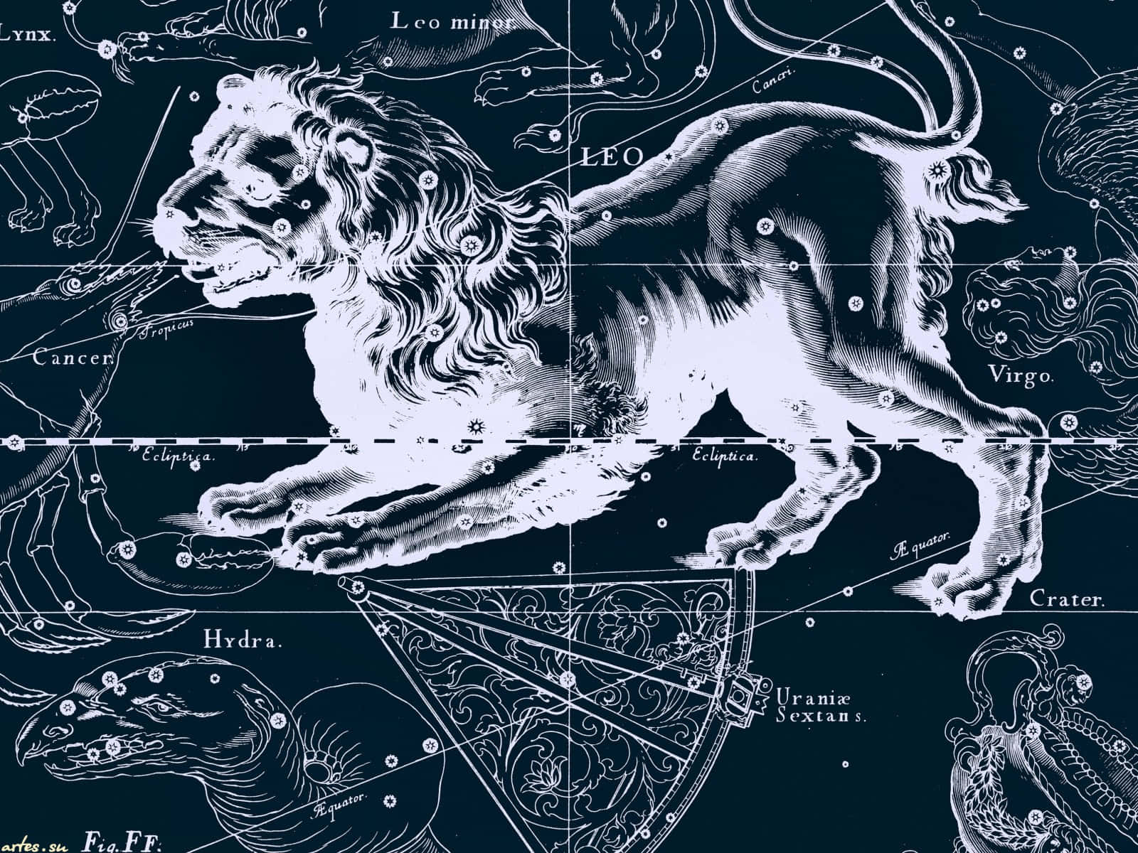 Leo Constellation Astronomical Illustration